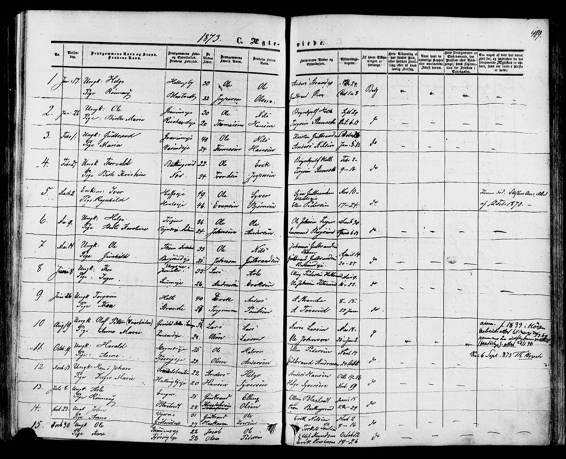Ådal kirkebøker, SAKO/A-248/F/Fa/L0001: Parish register (official) no. I 1, 1857-1883, p. 489