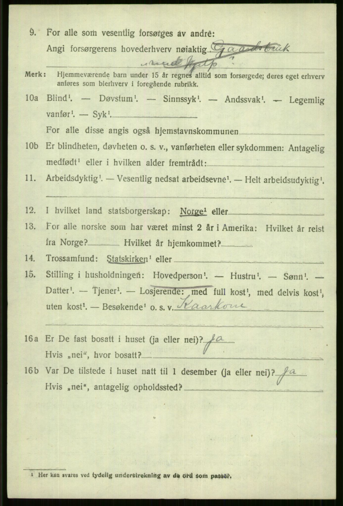 SAB, 1920 census for Voss, 1920, p. 18912