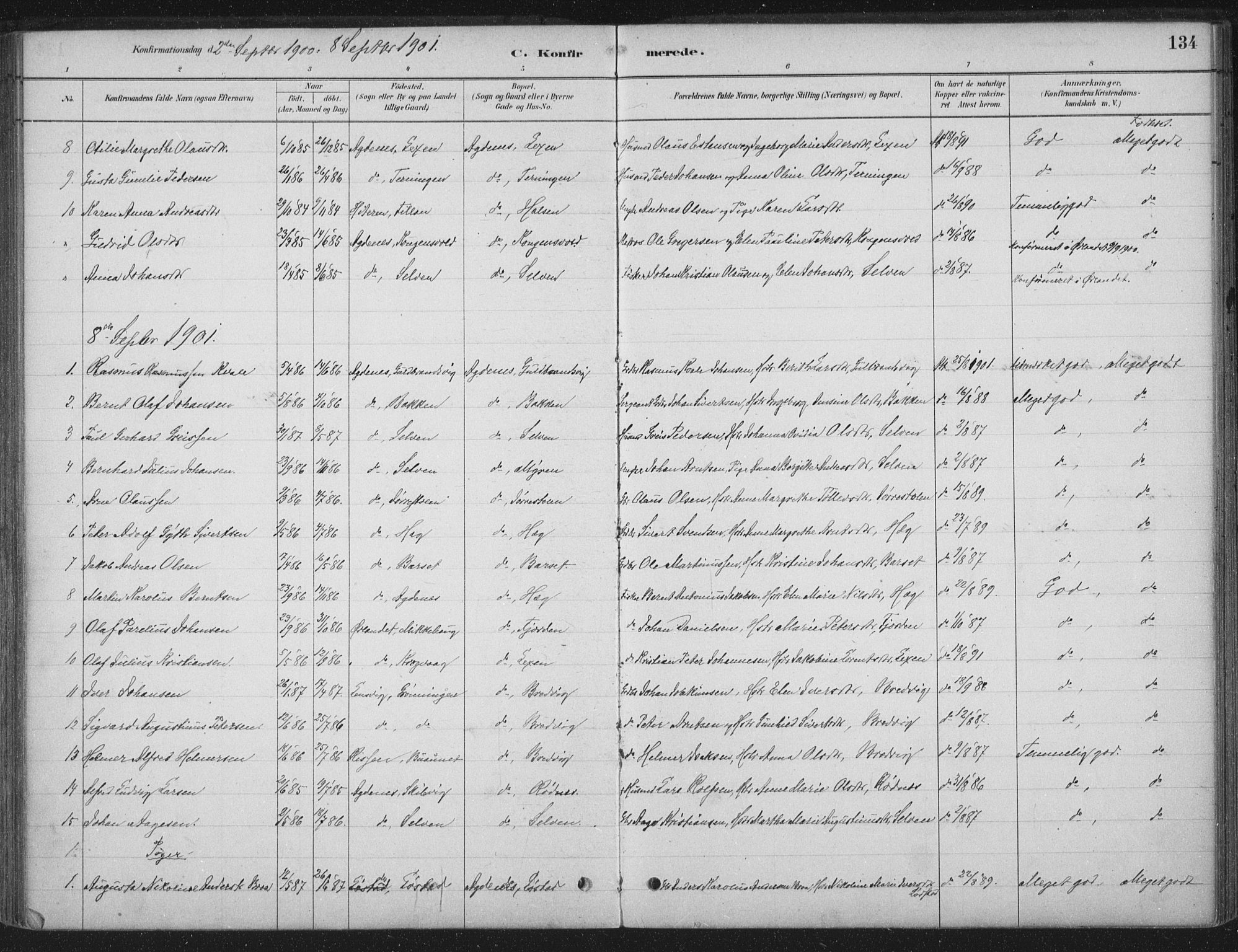 Ministerialprotokoller, klokkerbøker og fødselsregistre - Sør-Trøndelag, SAT/A-1456/662/L0755: Parish register (official) no. 662A01, 1879-1905, p. 134