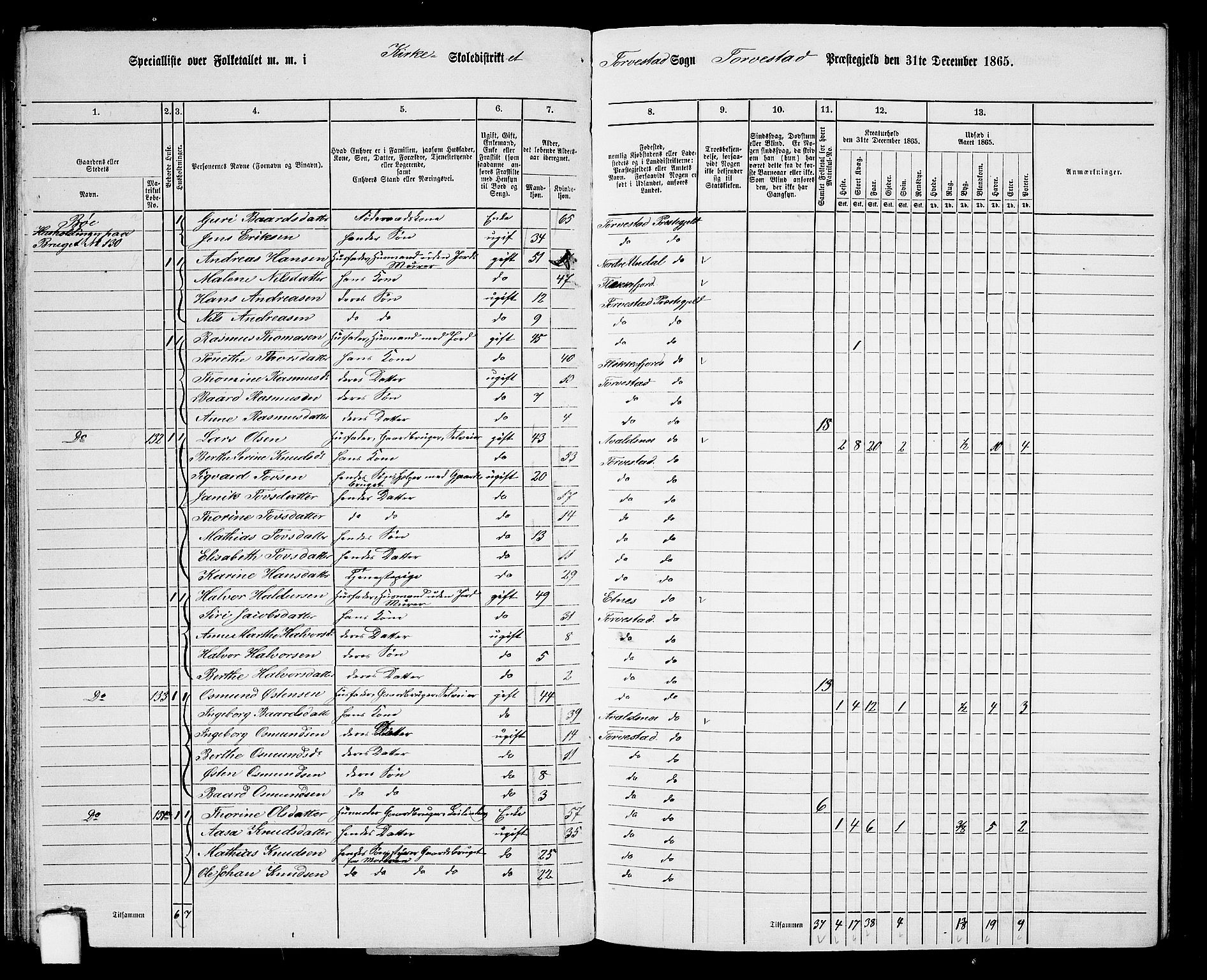 RA, 1865 census for Torvastad/Torvastad, Skåre og Utsira, 1865, p. 56