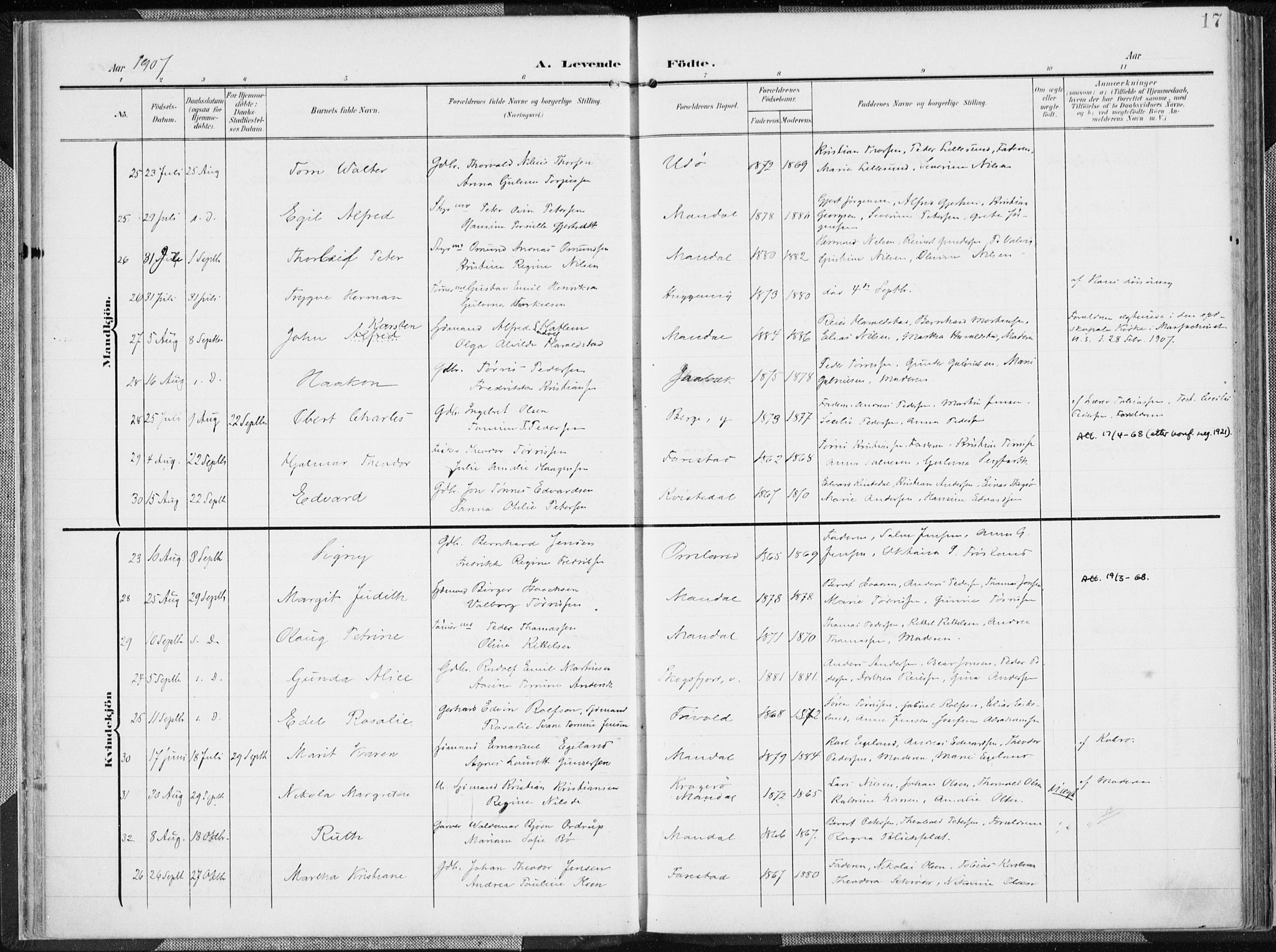 Mandal sokneprestkontor, AV/SAK-1111-0030/F/Fa/Faa/L0020: Parish register (official) no. A 20, 1906-1912, p. 17