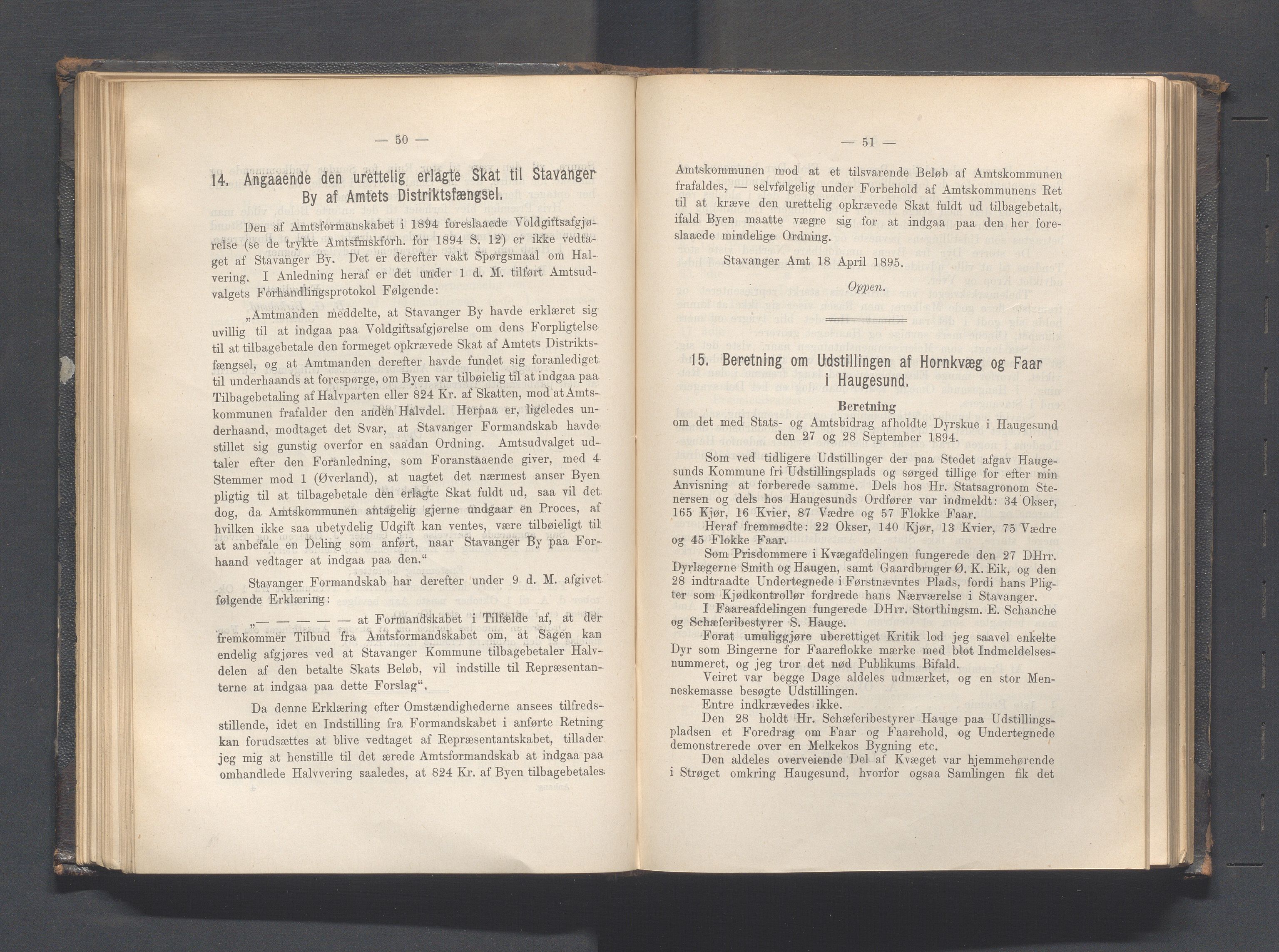 Rogaland fylkeskommune - Fylkesrådmannen , IKAR/A-900/A, 1895, p. 99