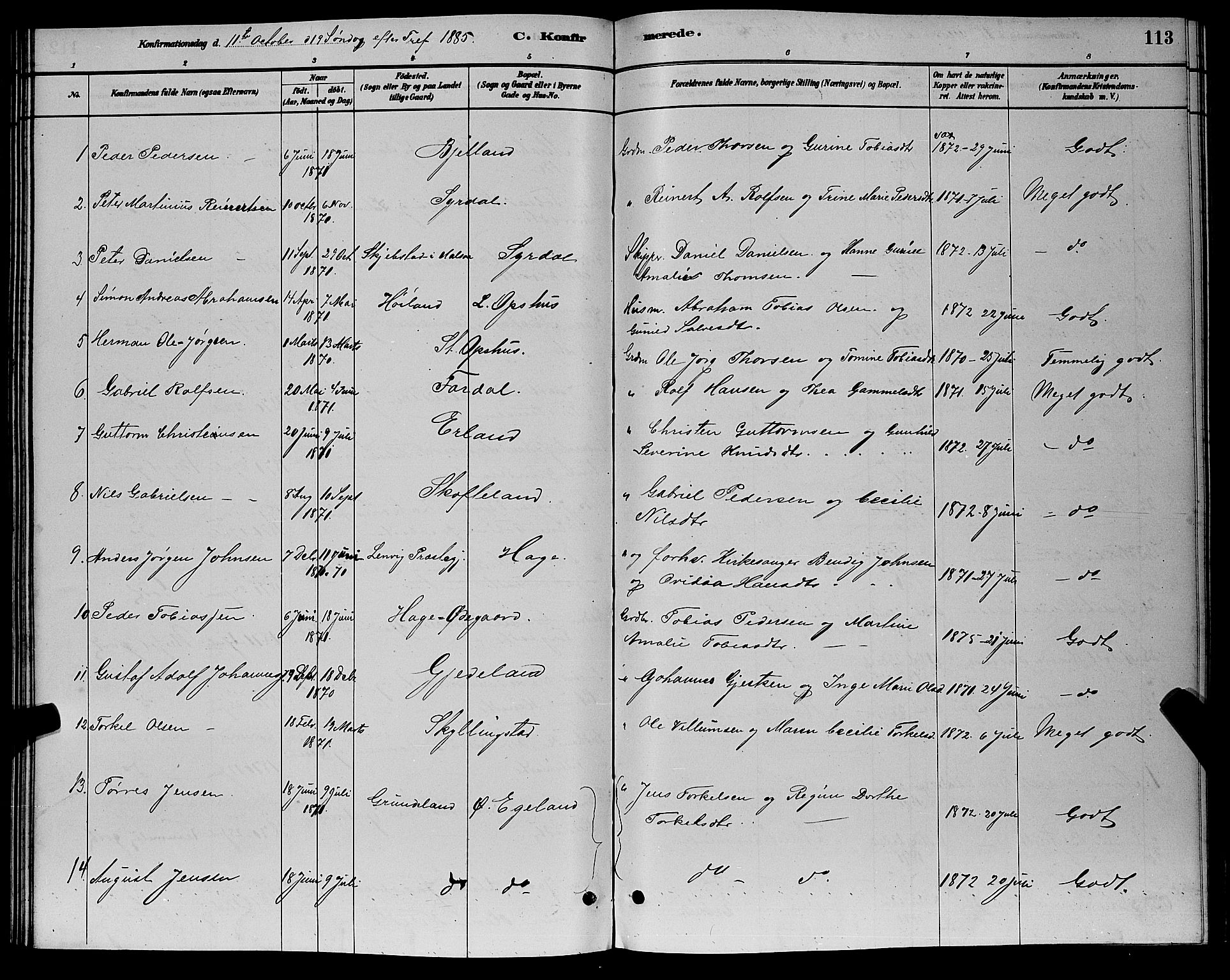 Sør-Audnedal sokneprestkontor, AV/SAK-1111-0039/F/Fb/Fbb/L0005: Parish register (copy) no. B 5, 1880-1892, p. 113