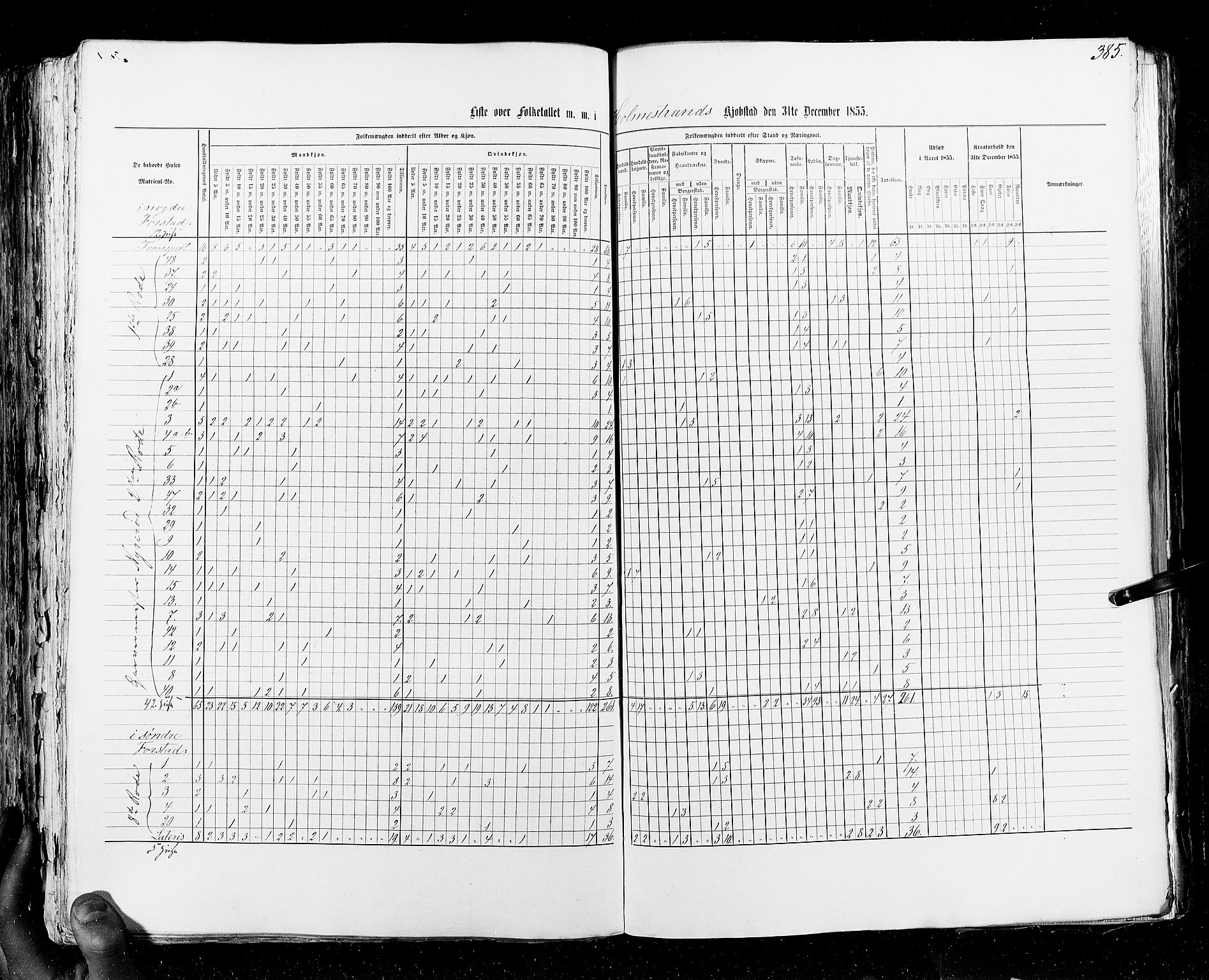 RA, Census 1855, vol. 7: Fredrikshald-Kragerø, 1855, p. 385