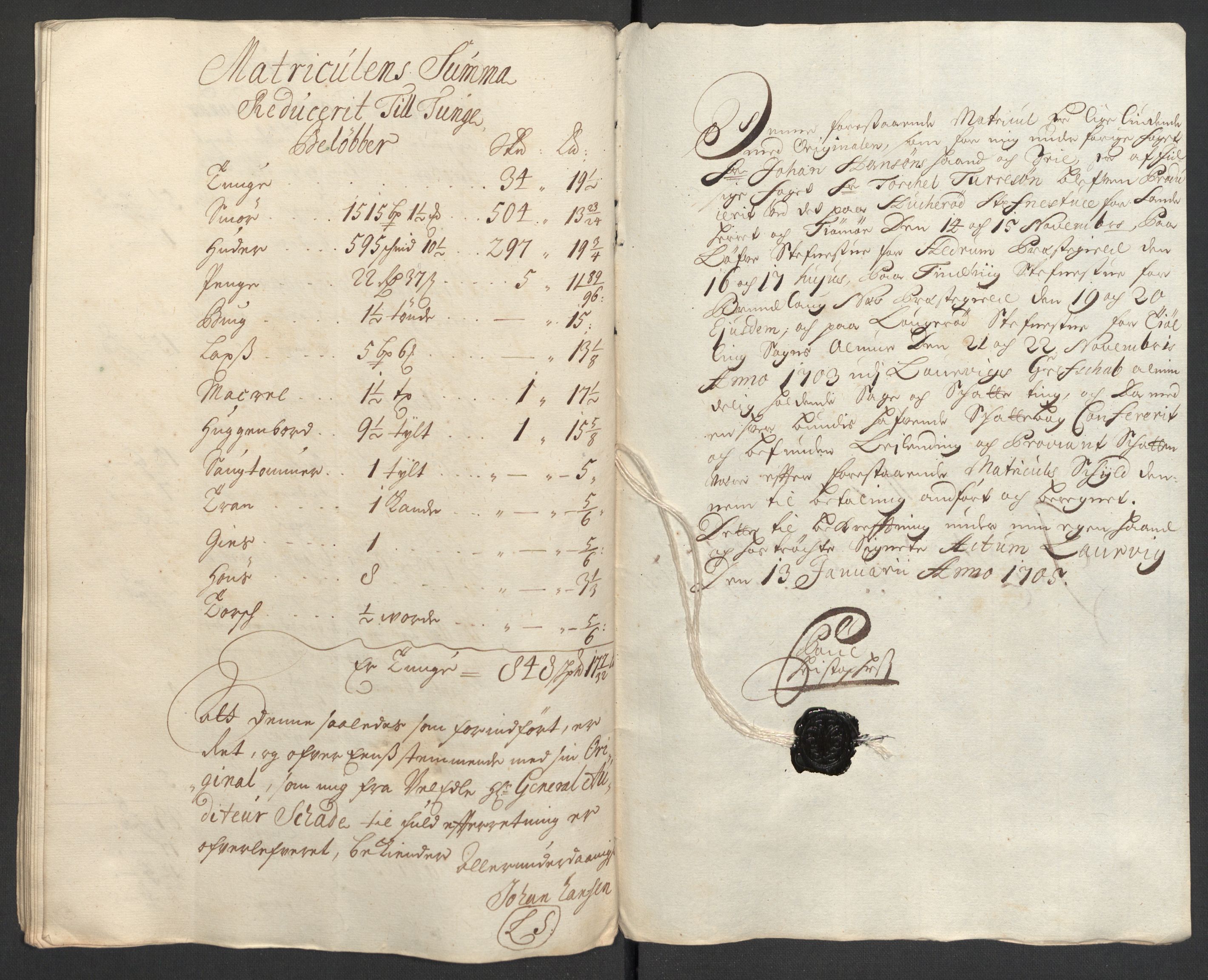 Rentekammeret inntil 1814, Reviderte regnskaper, Fogderegnskap, RA/EA-4092/R33/L1978: Fogderegnskap Larvik grevskap, 1704-1705, p. 139