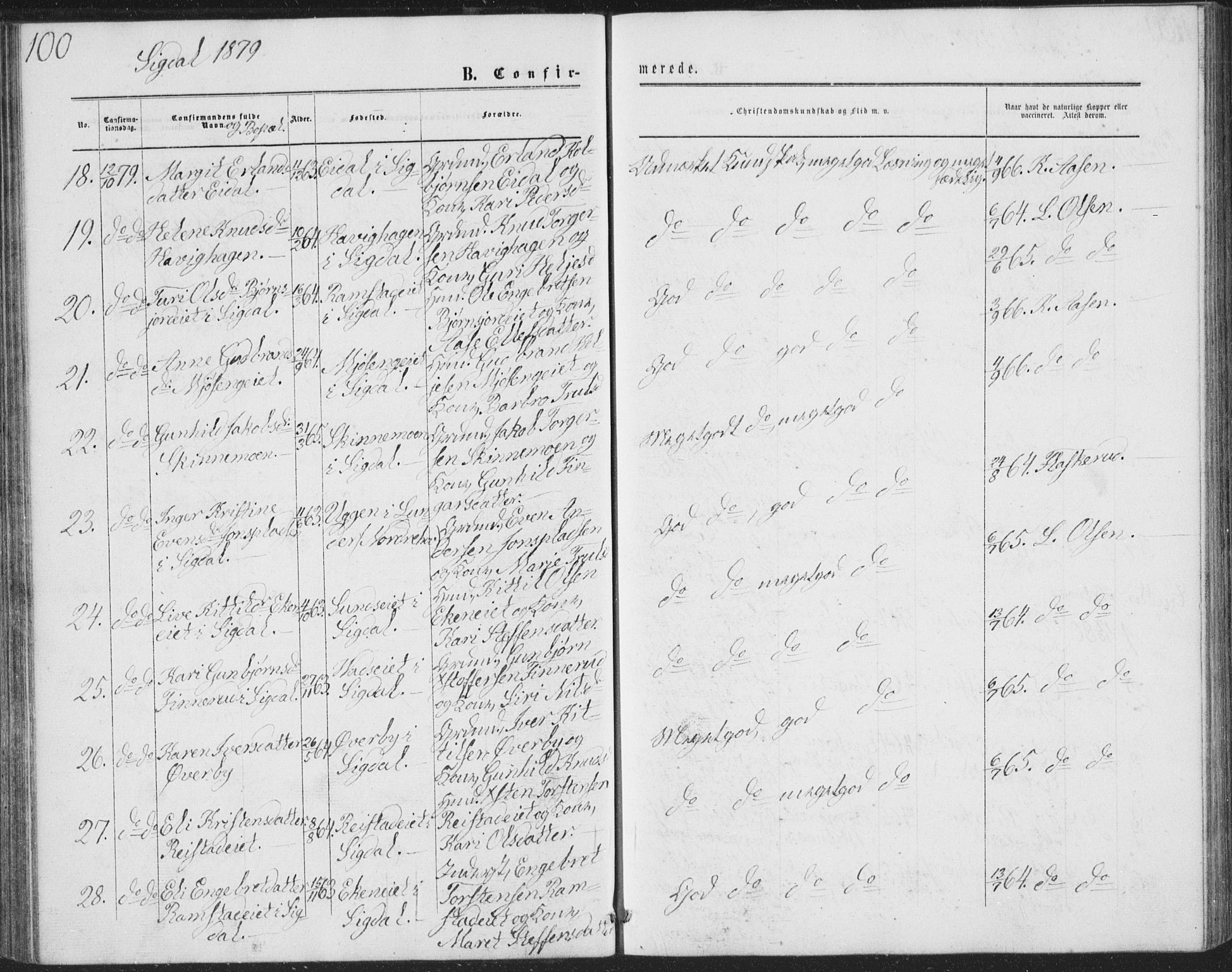 Sigdal kirkebøker, AV/SAKO-A-245/G/Ga/L0004: Parish register (copy) no. I 4, 1879-1885, p. 100