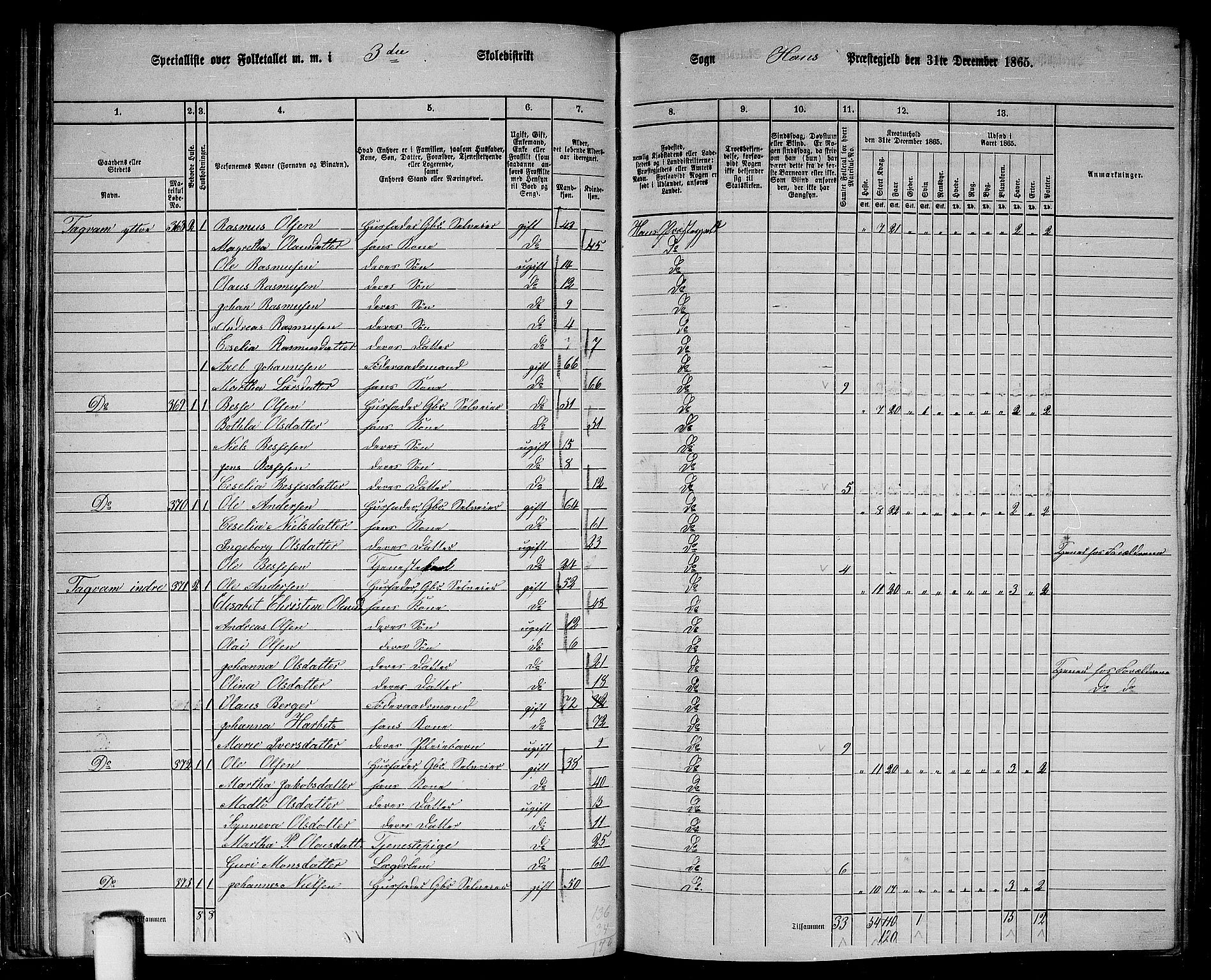 RA, 1865 census for Haus, 1865, p. 62