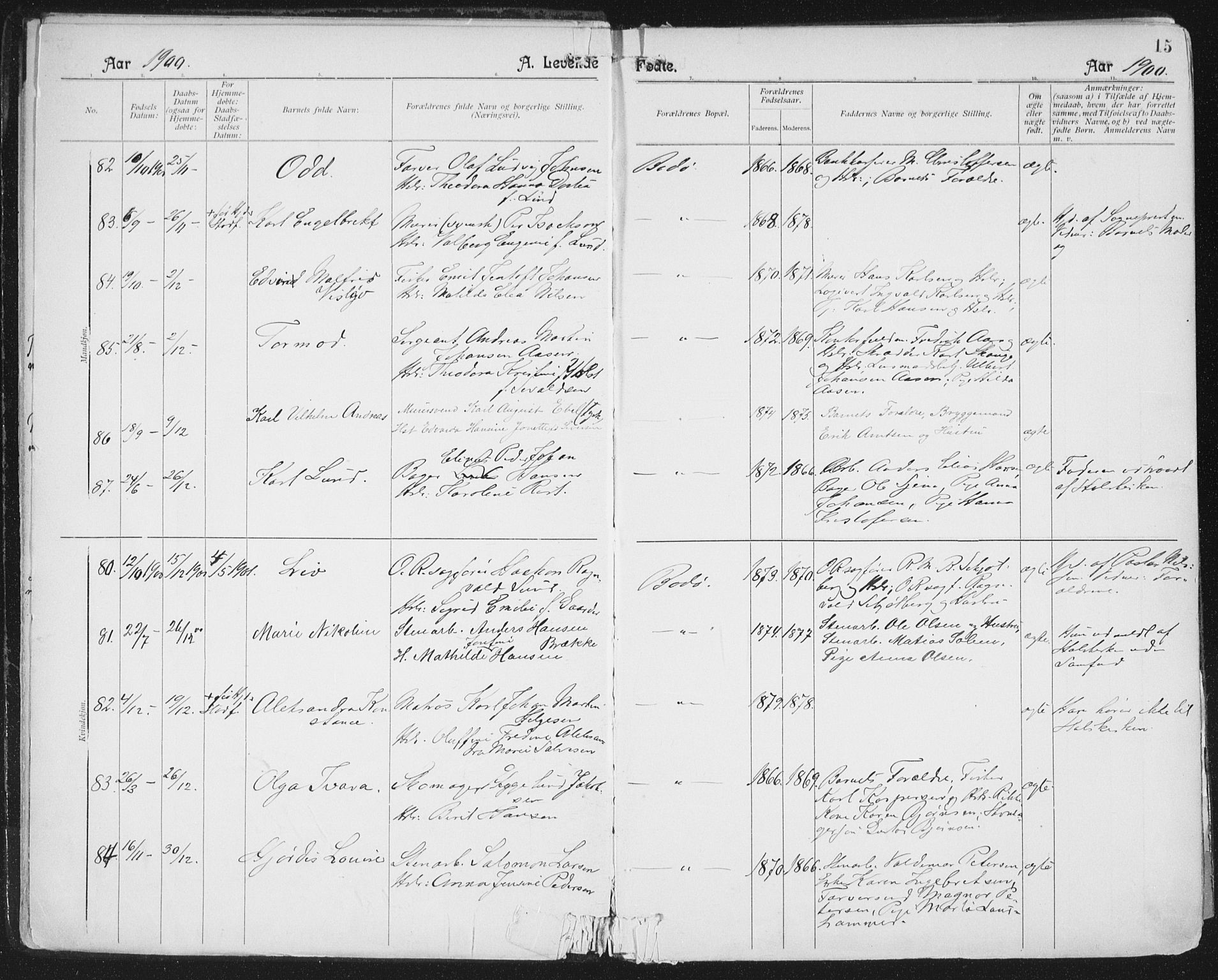 Ministerialprotokoller, klokkerbøker og fødselsregistre - Nordland, AV/SAT-A-1459/801/L0011: Parish register (official) no. 801A11, 1900-1916, p. 15