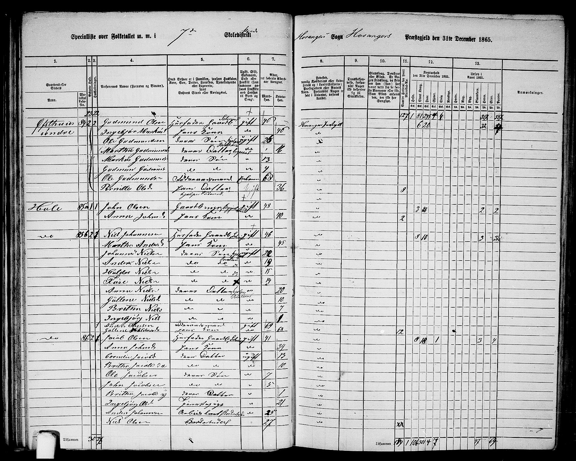 RA, 1865 census for Hosanger, 1865, p. 55