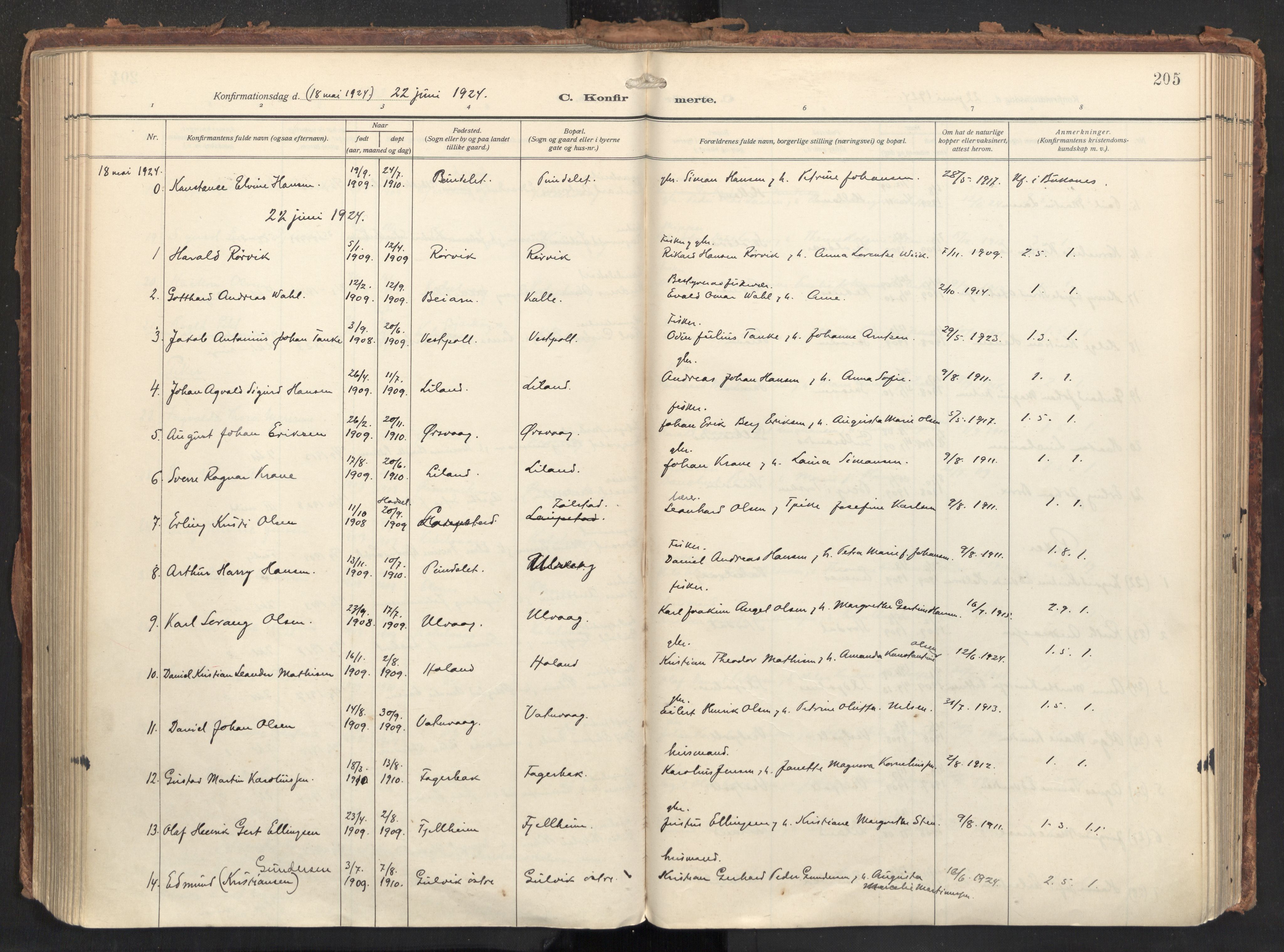 Ministerialprotokoller, klokkerbøker og fødselsregistre - Nordland, SAT/A-1459/874/L1064: Parish register (official) no. 874A08, 1915-1926, p. 205