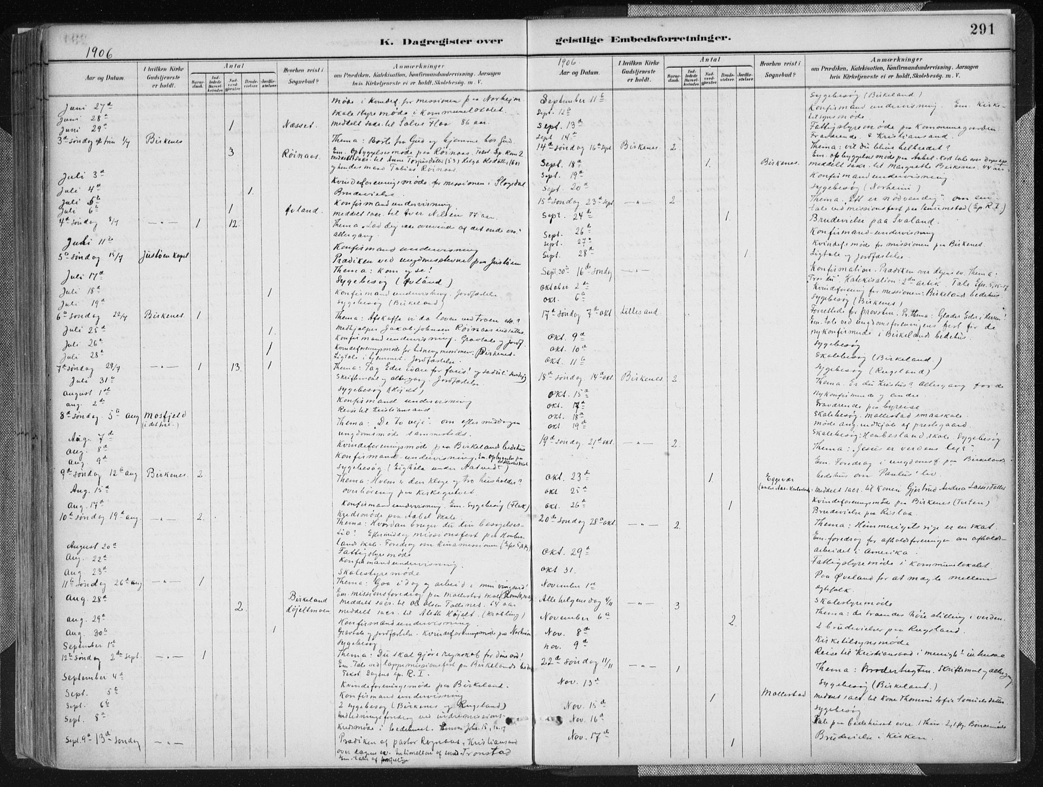 Birkenes sokneprestkontor, SAK/1111-0004/F/Fa/L0005: Parish register (official) no. A 5, 1887-1907, p. 291