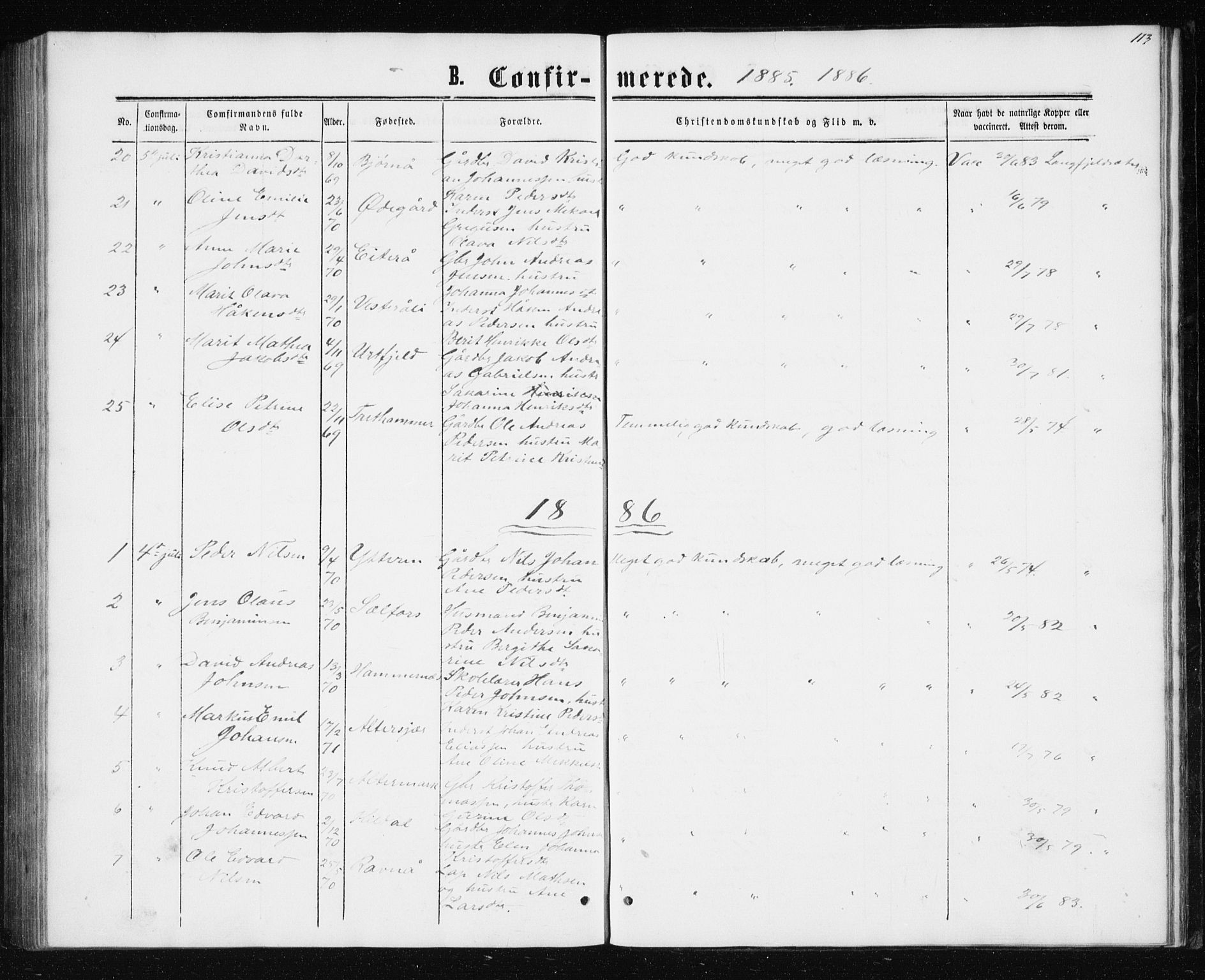 Ministerialprotokoller, klokkerbøker og fødselsregistre - Nordland, SAT/A-1459/827/L0416: Parish register (copy) no. 827C05, 1865-1886, p. 113