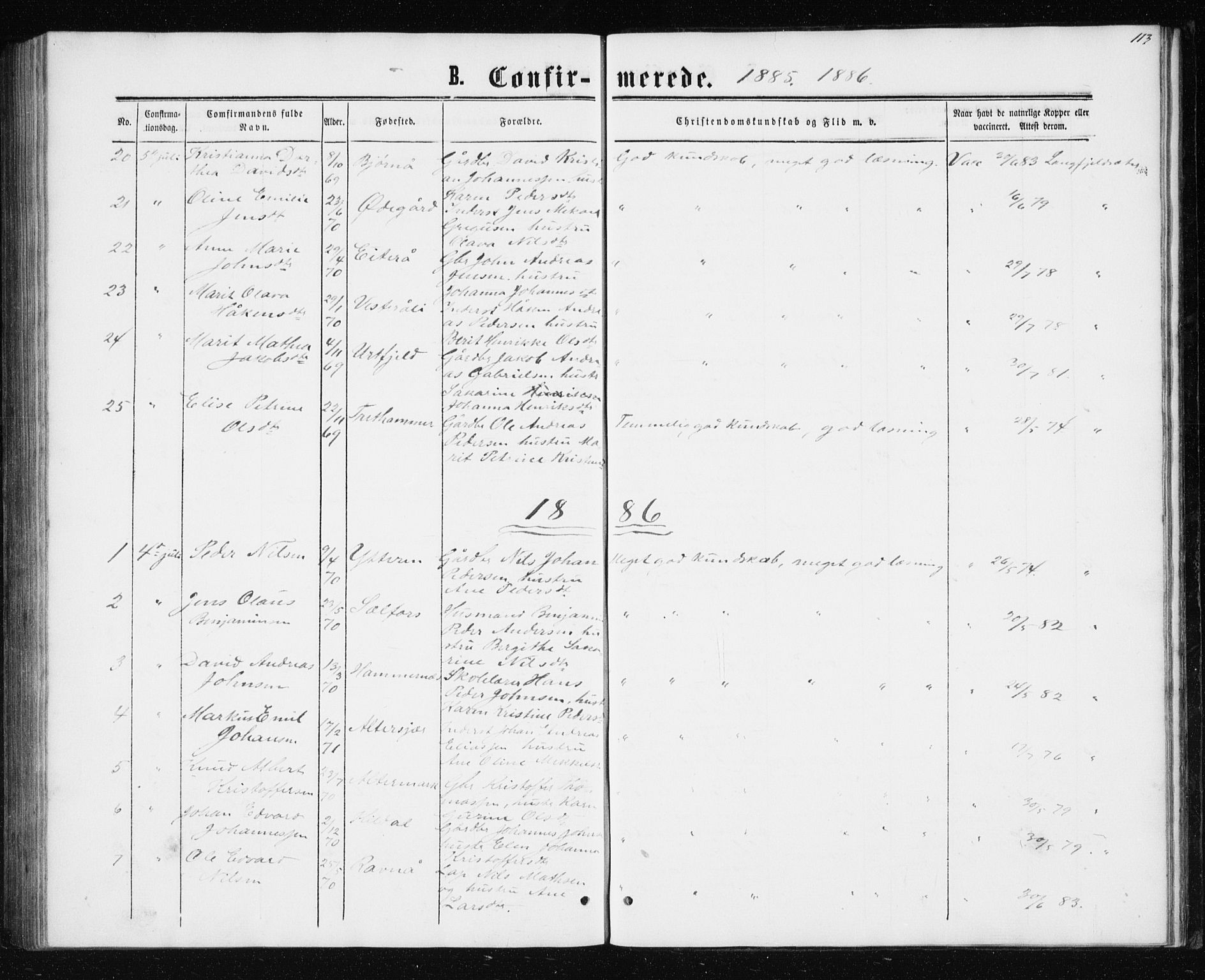 Ministerialprotokoller, klokkerbøker og fødselsregistre - Nordland, AV/SAT-A-1459/827/L0416: Parish register (copy) no. 827C05, 1865-1886, p. 113