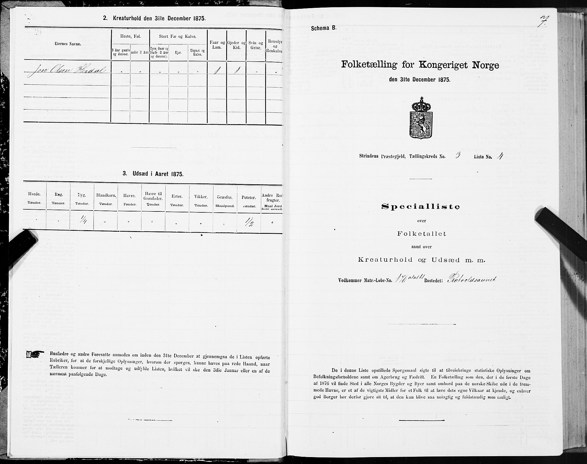 SAT, 1875 census for 1660P Strinda, 1875, p. 2007