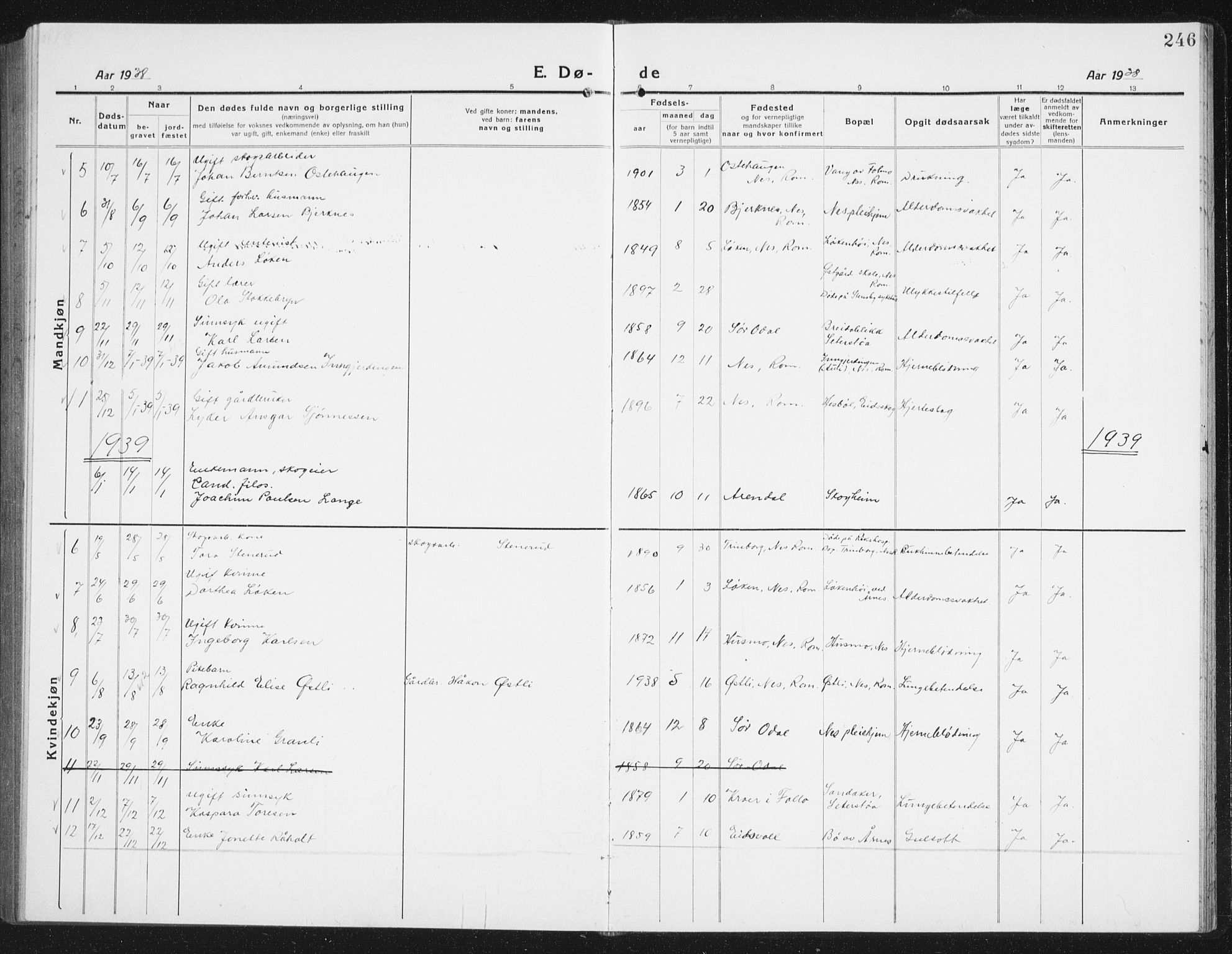 Nes prestekontor Kirkebøker, SAO/A-10410/G/Gc/L0002: Parish register (copy) no. III 2, 1915-1943, p. 246
