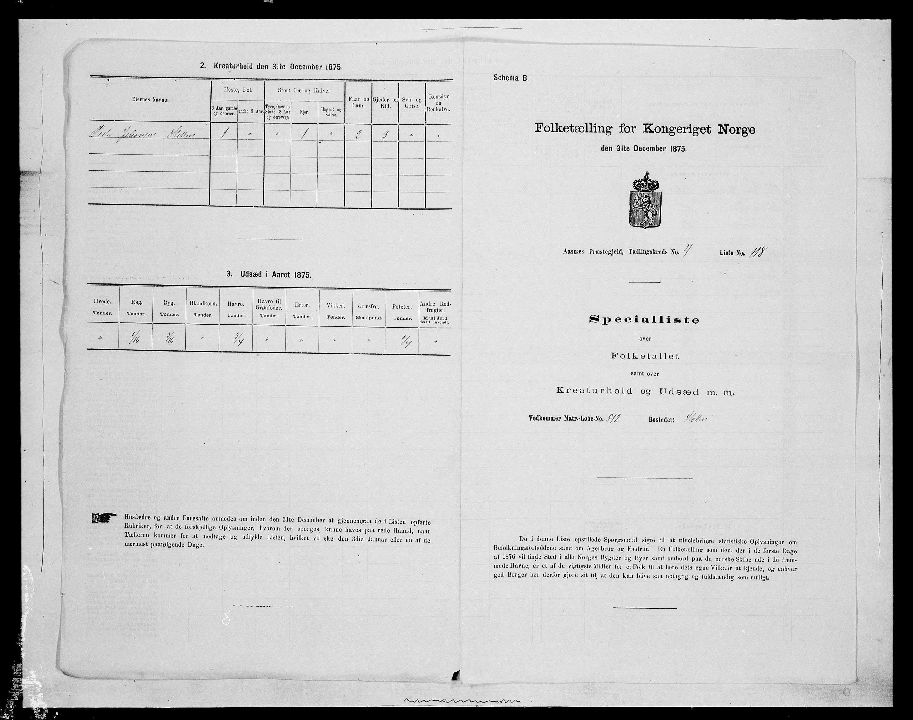 SAH, 1875 census for 0425P Åsnes, 1875, p. 692