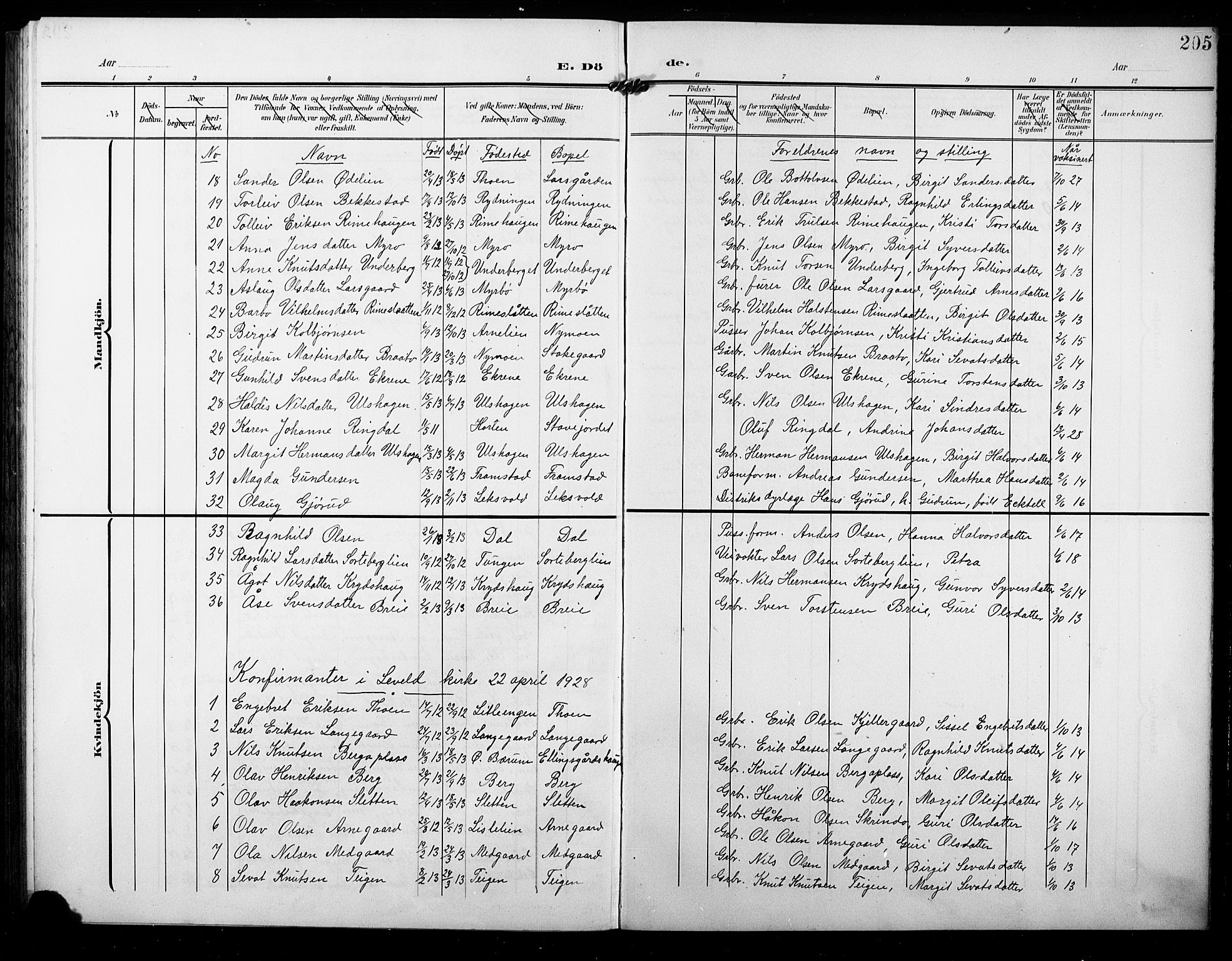 Ål kirkebøker, AV/SAKO-A-249/G/Ga/L0002: Parish register (copy) no. 2, 1904-1928, p. 205