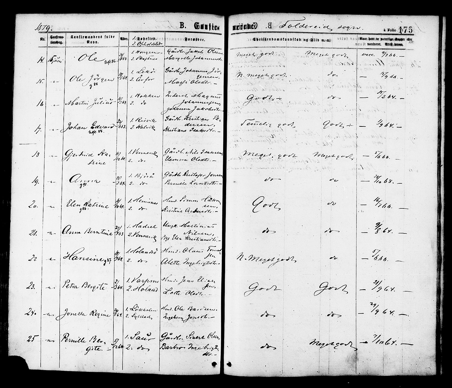 Ministerialprotokoller, klokkerbøker og fødselsregistre - Nord-Trøndelag, AV/SAT-A-1458/780/L0642: Parish register (official) no. 780A07 /2, 1878-1885, p. 175