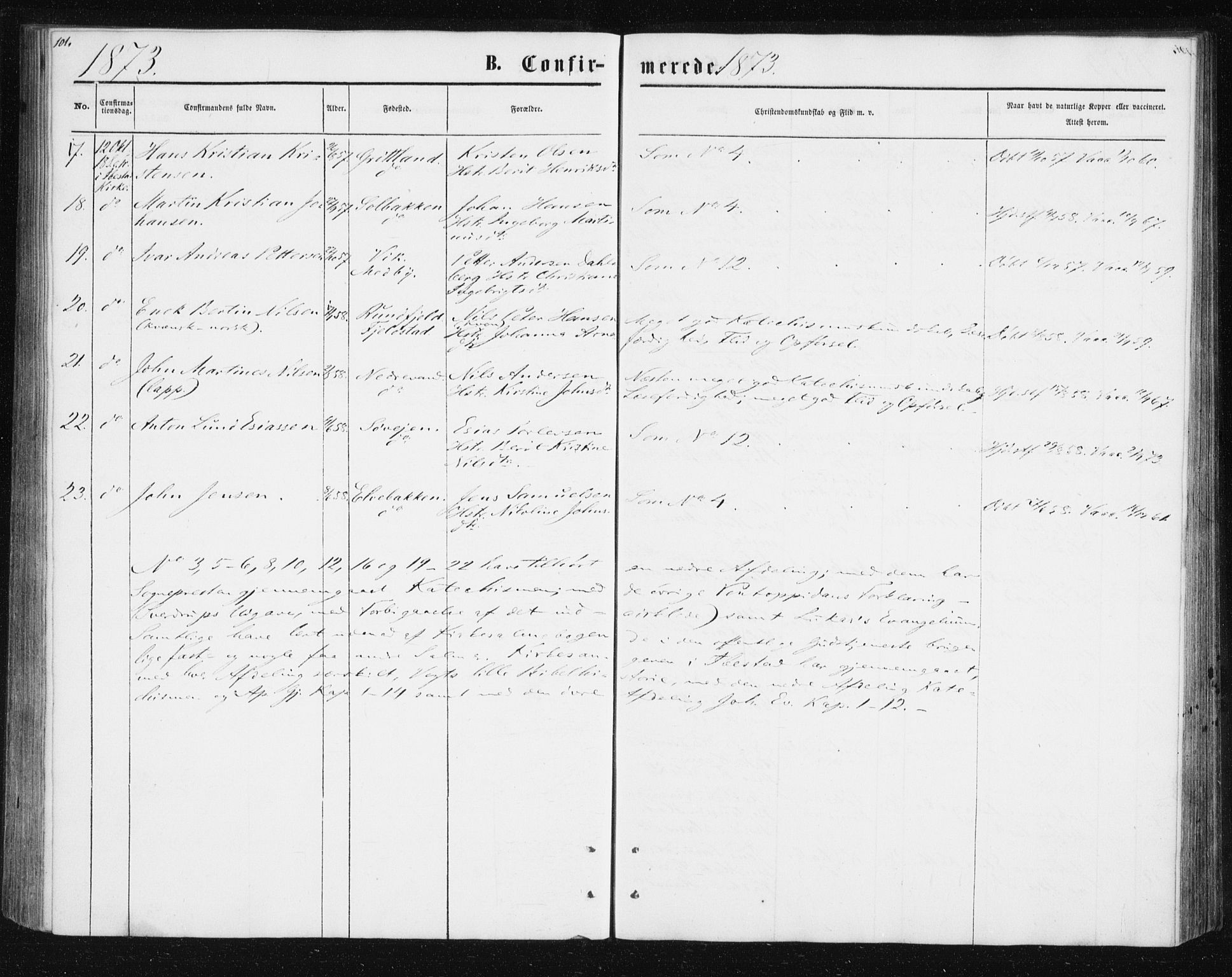 Ibestad sokneprestembete, AV/SATØ-S-0077/H/Ha/Hab/L0013klokker: Parish register (copy) no. 13, 1865-1879, p. 101