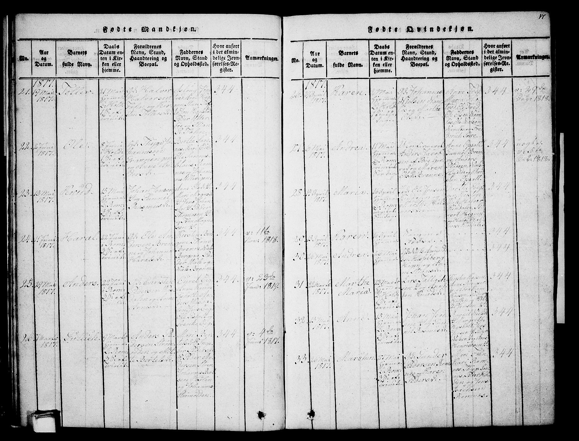 Holla kirkebøker, SAKO/A-272/G/Ga/L0001: Parish register (copy) no. I 1, 1814-1830, p. 17