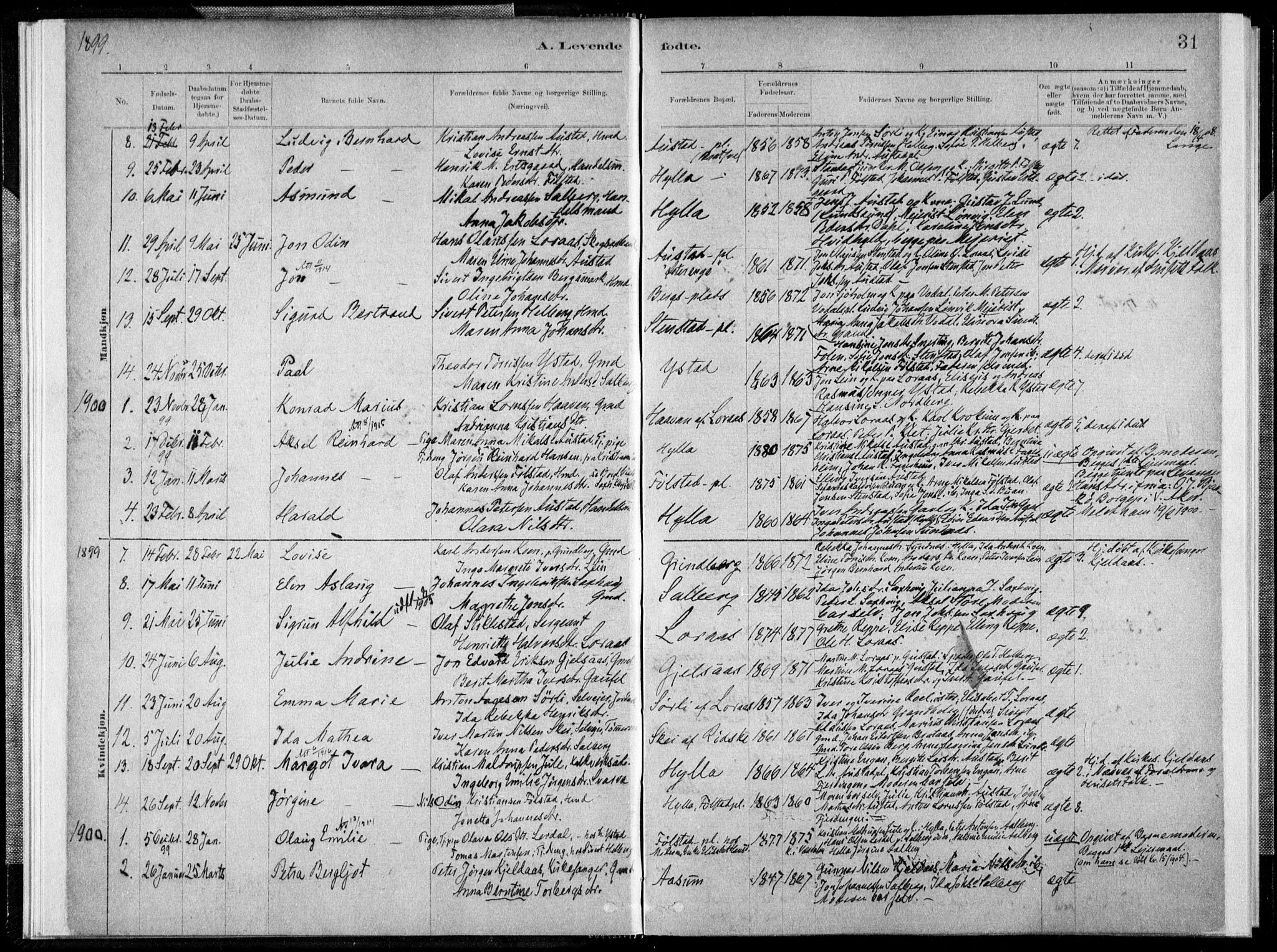 Ministerialprotokoller, klokkerbøker og fødselsregistre - Nord-Trøndelag, SAT/A-1458/731/L0309: Parish register (official) no. 731A01, 1879-1918, p. 31