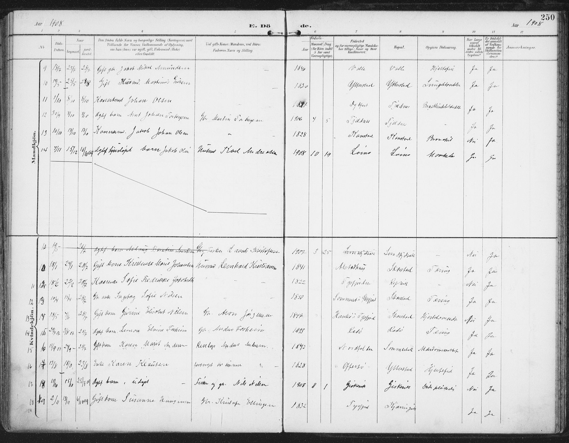 Ministerialprotokoller, klokkerbøker og fødselsregistre - Nordland, AV/SAT-A-1459/872/L1036: Parish register (official) no. 872A11, 1897-1913, p. 250