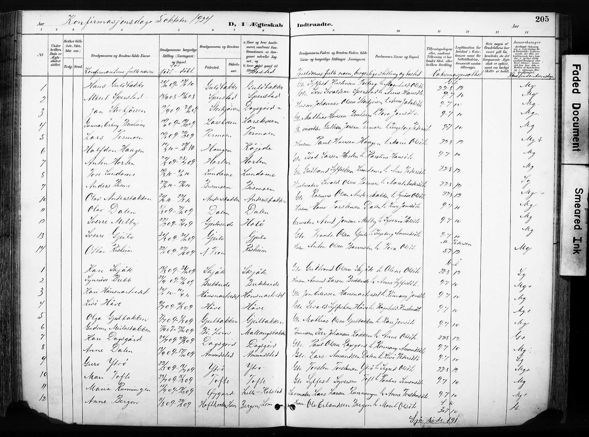 Skjåk prestekontor, SAH/PREST-072/H/Ha/Hab/L0003: Parish register (copy) no. 3, 1893-1932, p. 205