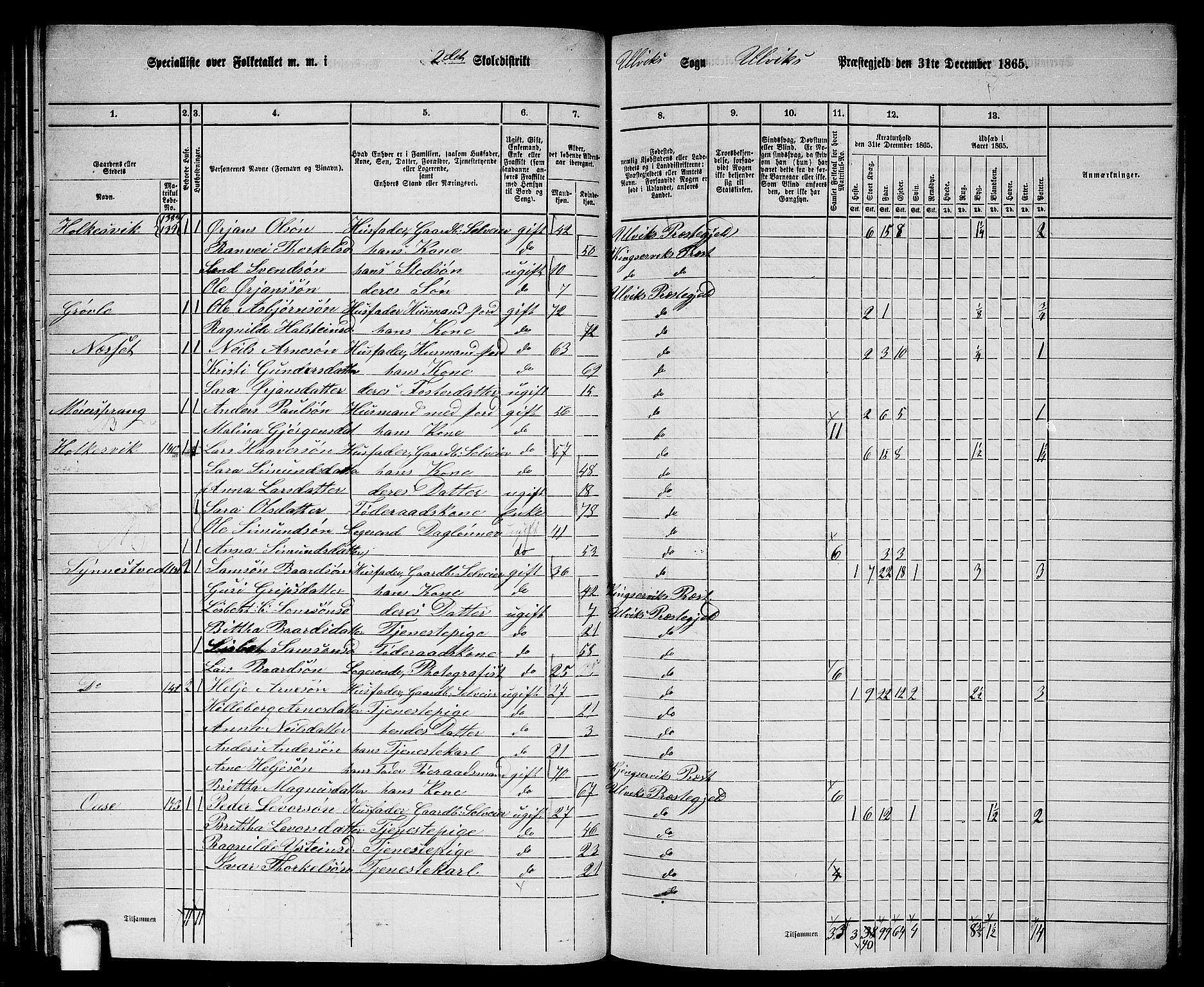 RA, 1865 census for Ulvik, 1865, p. 55