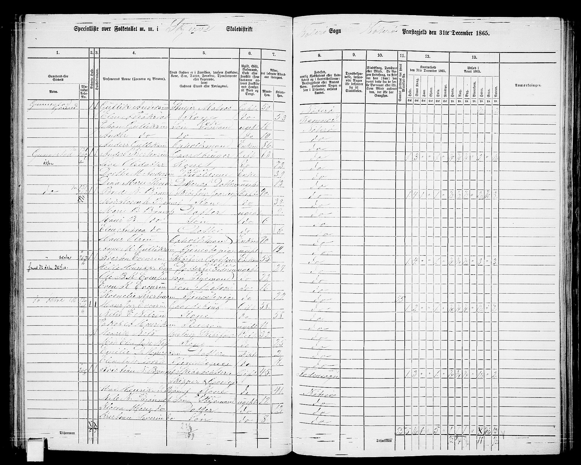 RA, 1865 census for Nøtterøy, 1865, p. 146