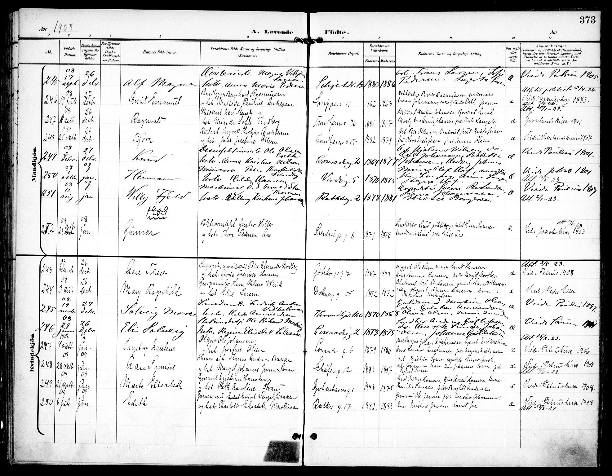 Petrus prestekontor Kirkebøker, AV/SAO-A-10872/F/Fa/L0008: Parish register (official) no. I 8, 1899-1909, p. 373