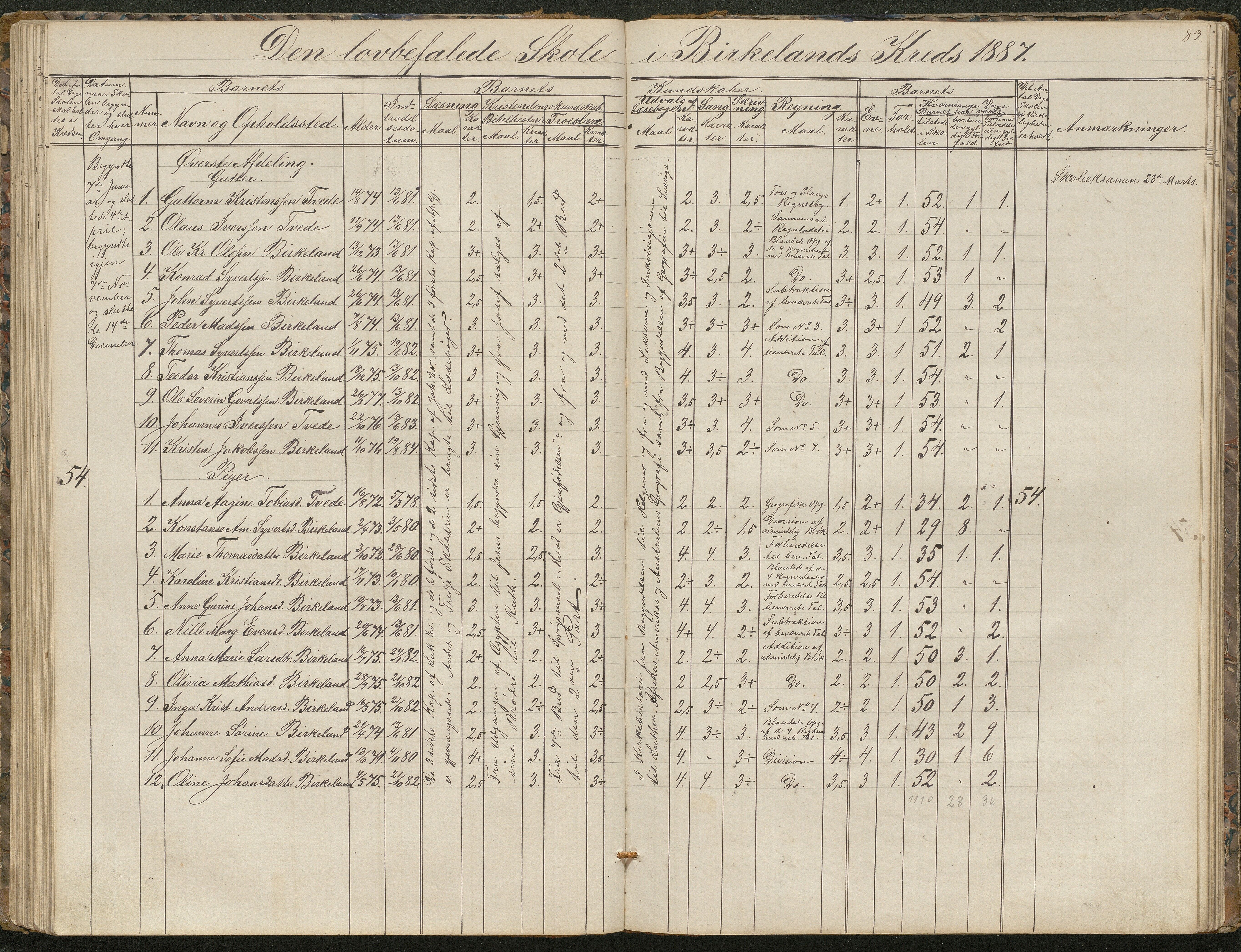 Birkenes kommune, Birkenes krets/Birkeland folkeskole frem til 1991, AAKS/KA0928-550a_91/F02/L0001: Skoleprotokoll, 1862-1896, p. 83