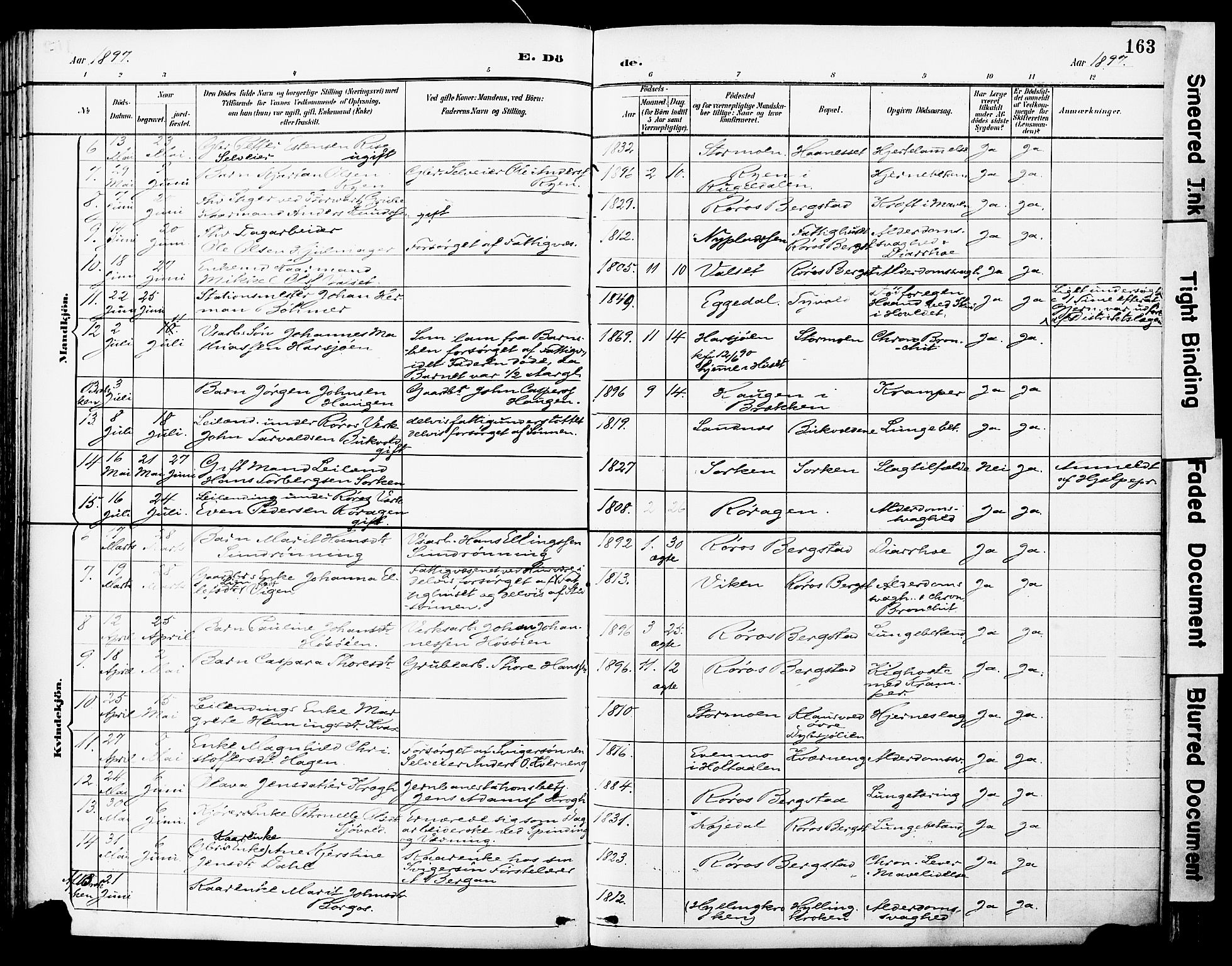 Ministerialprotokoller, klokkerbøker og fødselsregistre - Sør-Trøndelag, AV/SAT-A-1456/681/L0935: Parish register (official) no. 681A13, 1890-1898, p. 163