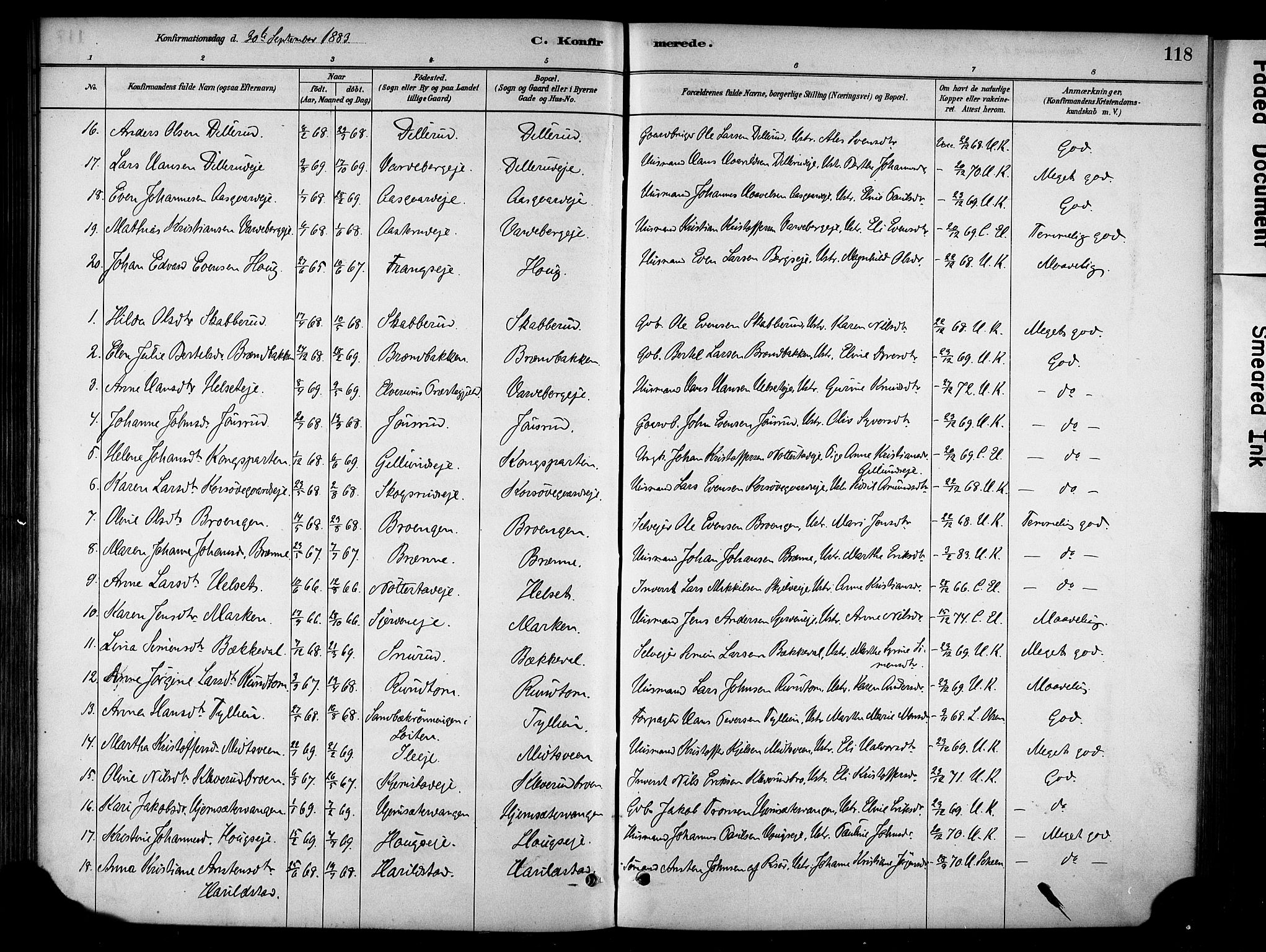 Stange prestekontor, SAH/PREST-002/K/L0018: Parish register (official) no. 18, 1880-1896, p. 118
