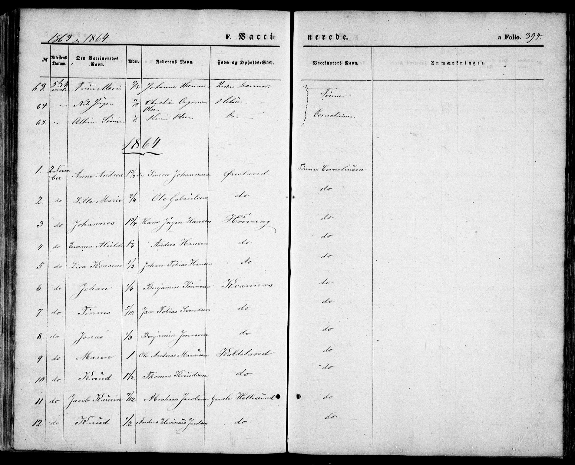 Høvåg sokneprestkontor, SAK/1111-0025/F/Fa/L0004: Parish register (official) no. A 4, 1859-1877, p. 394