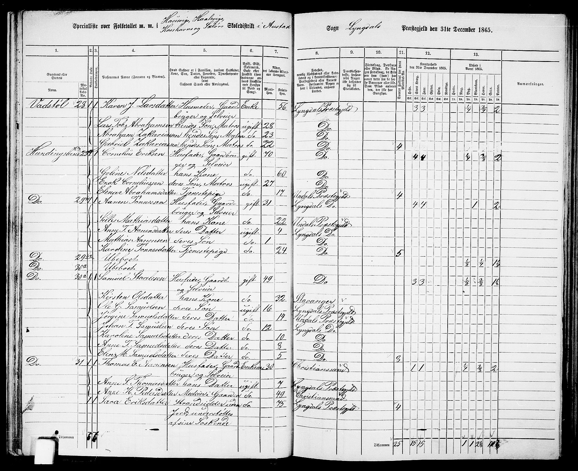 RA, 1865 census for Lyngdal, 1865, p. 34