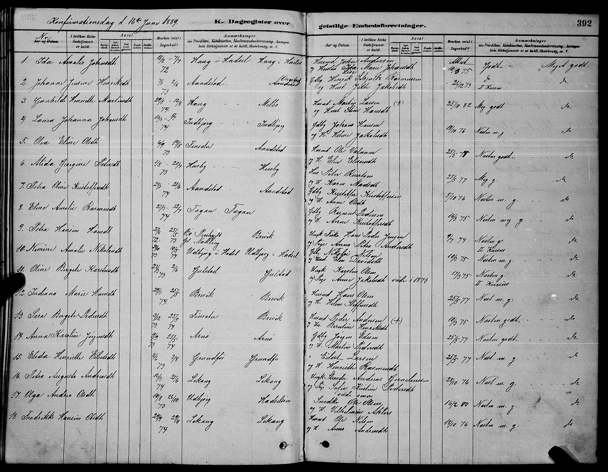 Ministerialprotokoller, klokkerbøker og fødselsregistre - Nordland, AV/SAT-A-1459/888/L1267: Parish register (copy) no. 888C05, 1878-1890, p. 392