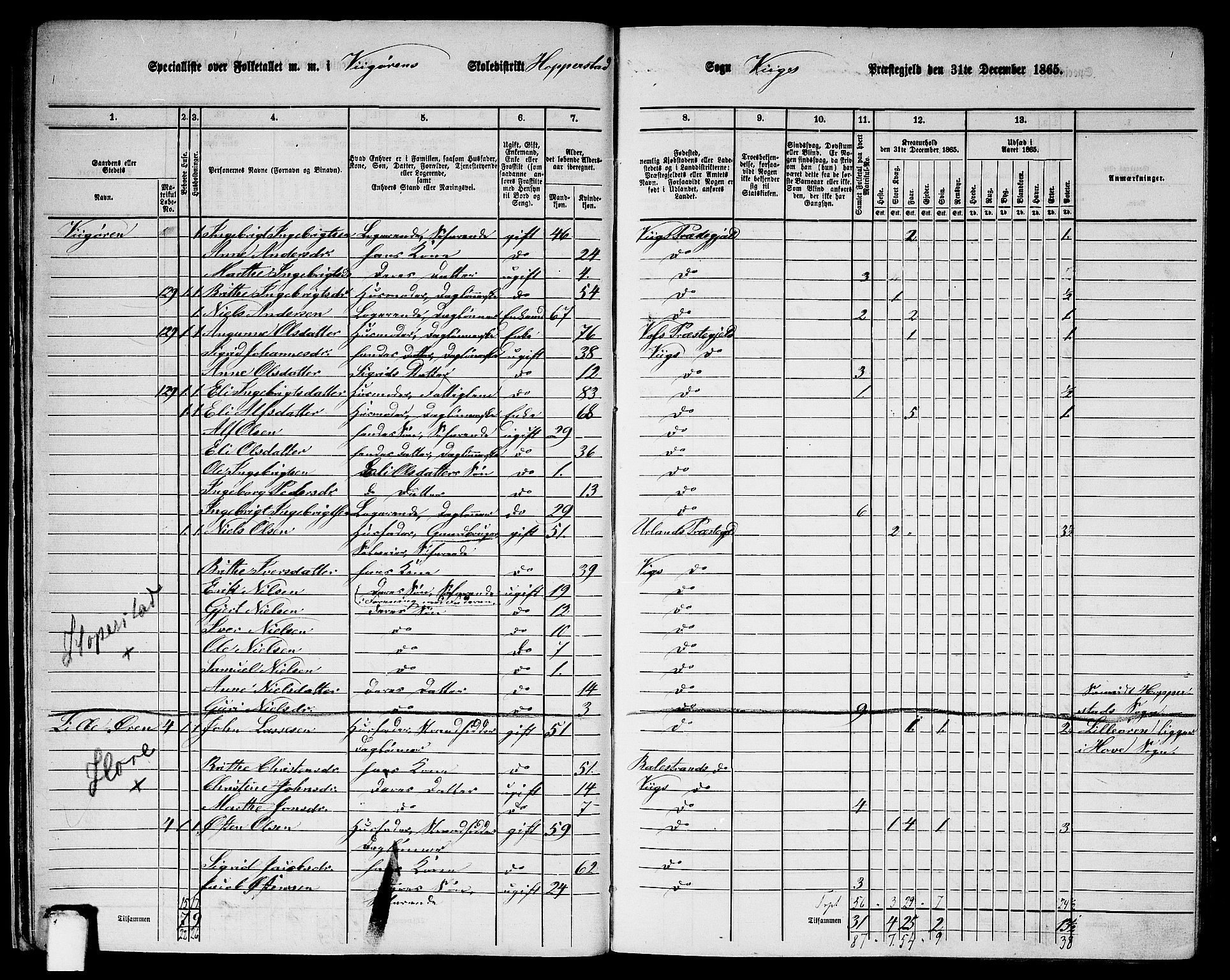 RA, 1865 census for Vik, 1865, p. 26