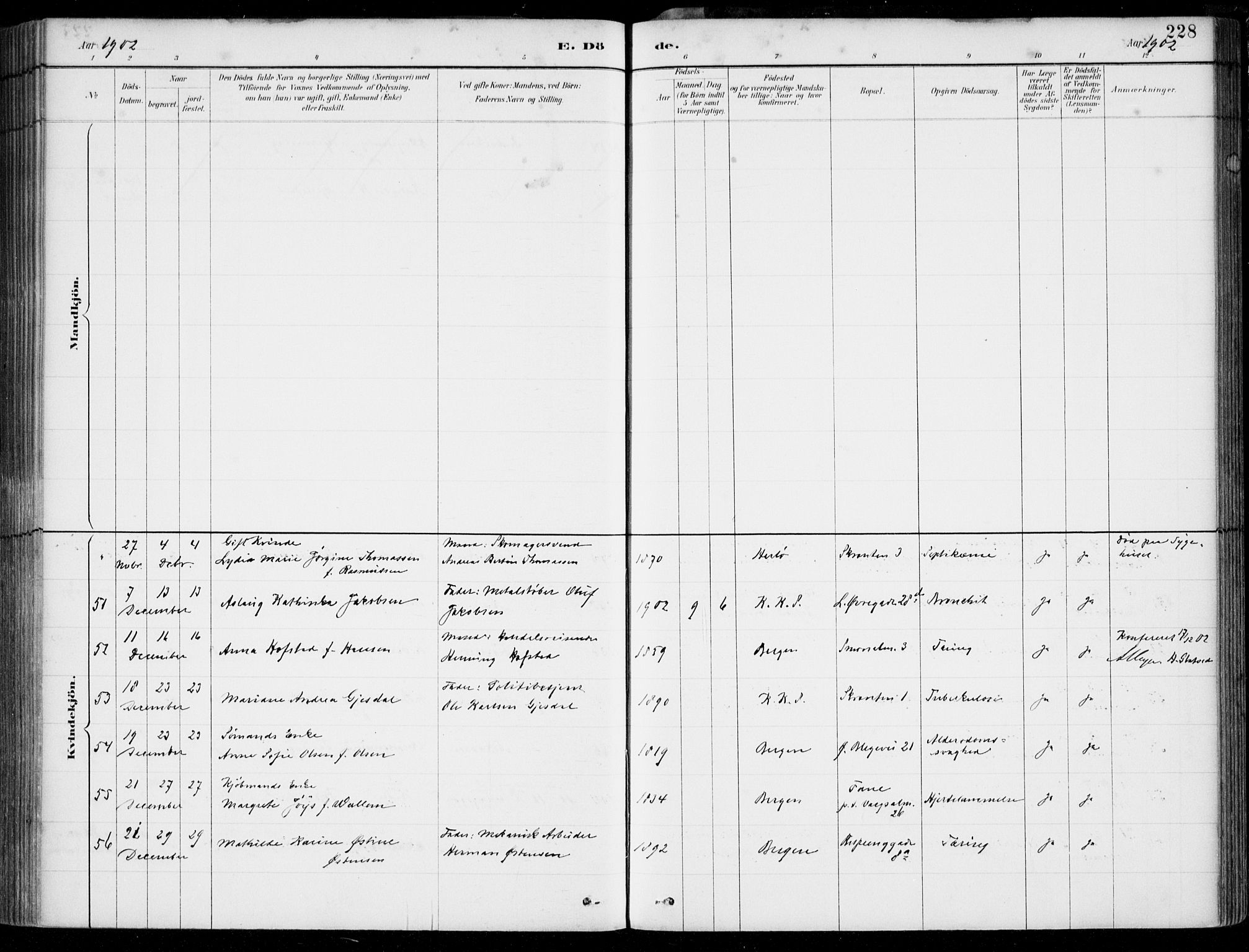 Korskirken sokneprestembete, AV/SAB-A-76101/H/Hab: Parish register (copy) no. E 4, 1884-1910, p. 228