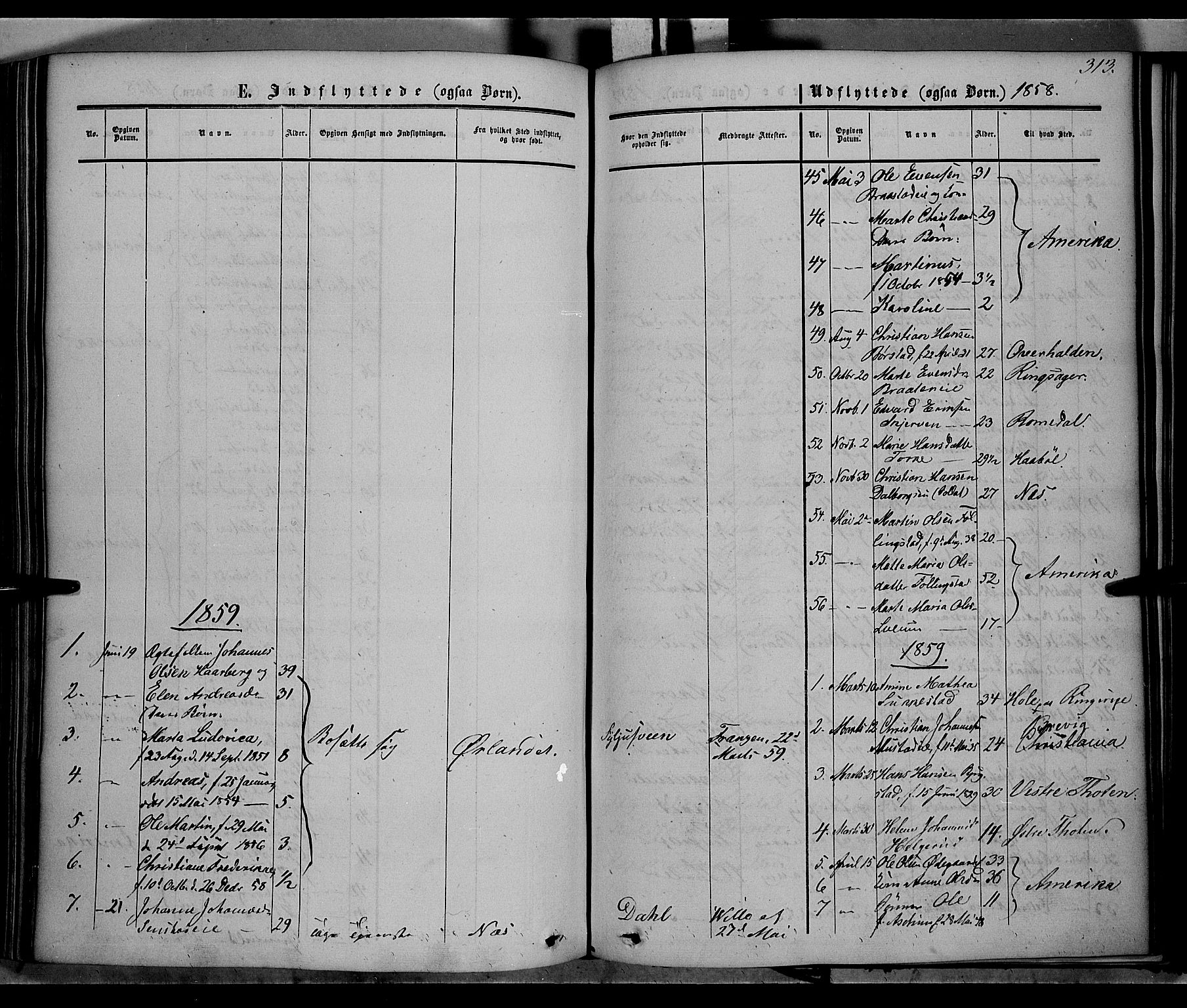 Vardal prestekontor, SAH/PREST-100/H/Ha/Haa/L0006: Parish register (official) no. 6, 1854-1866, p. 313