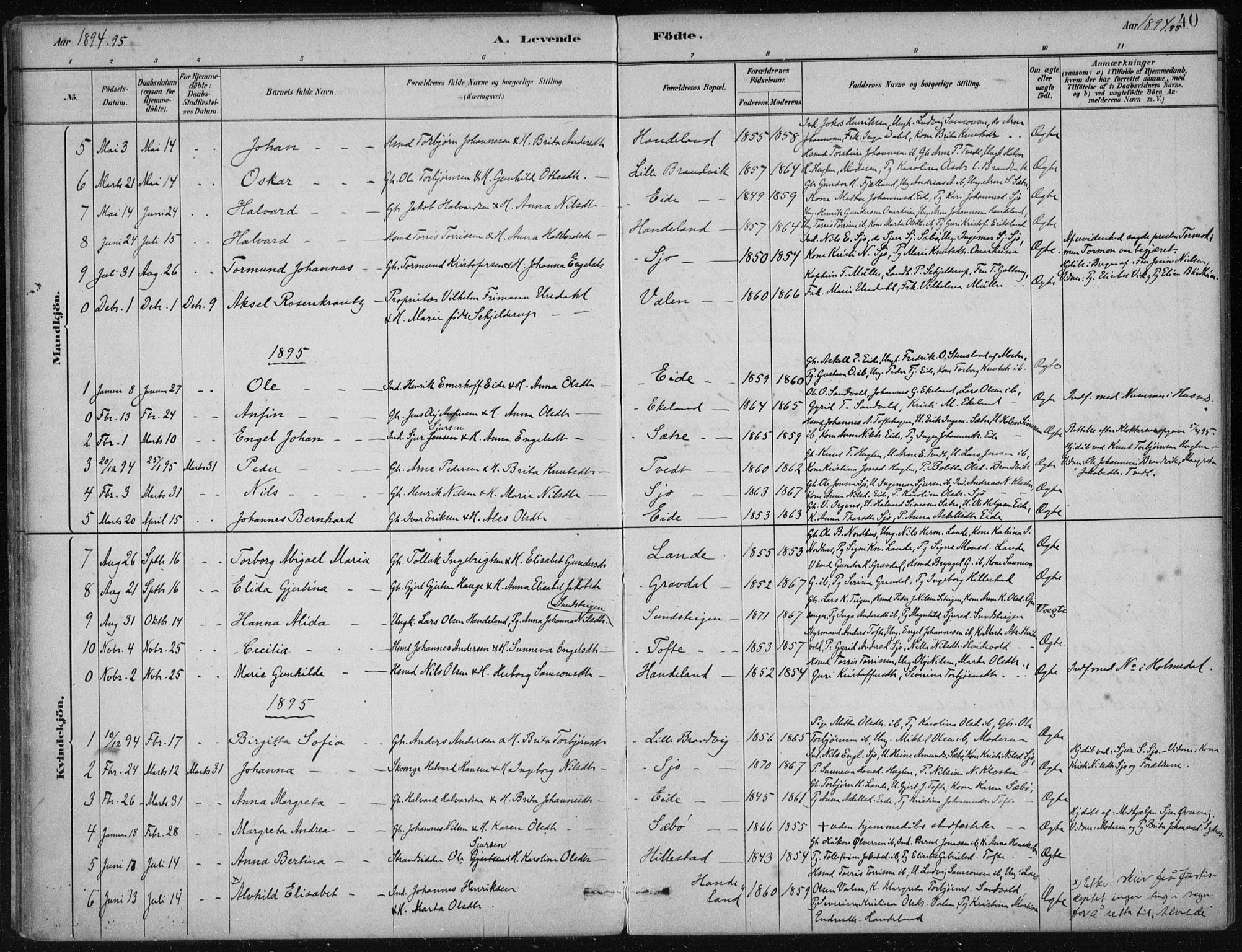 Fjelberg sokneprestembete, SAB/A-75201/H/Haa: Parish register (official) no. C  1, 1879-1918, p. 40
