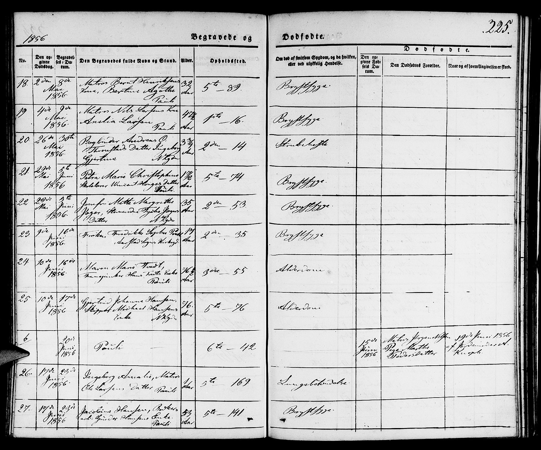 Nykirken Sokneprestembete, AV/SAB-A-77101/H/Hab: Parish register (copy) no. E 1, 1840-1866, p. 225