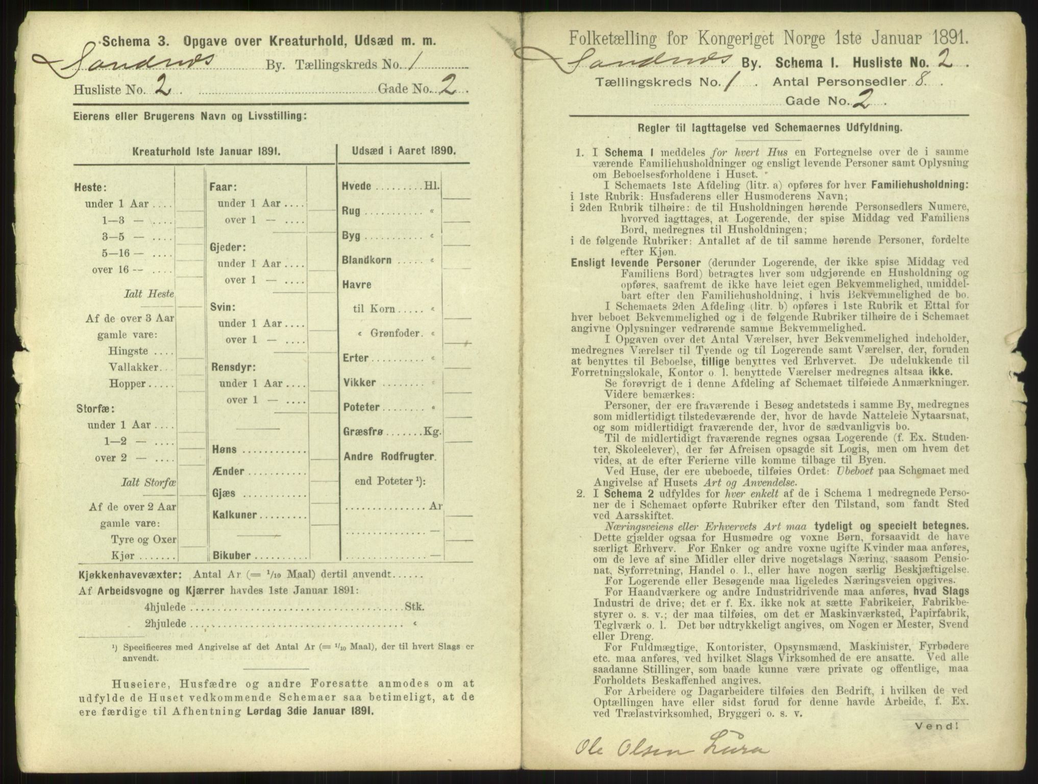 RA, 1891 census for 1102 Sandnes, 1891, p. 17