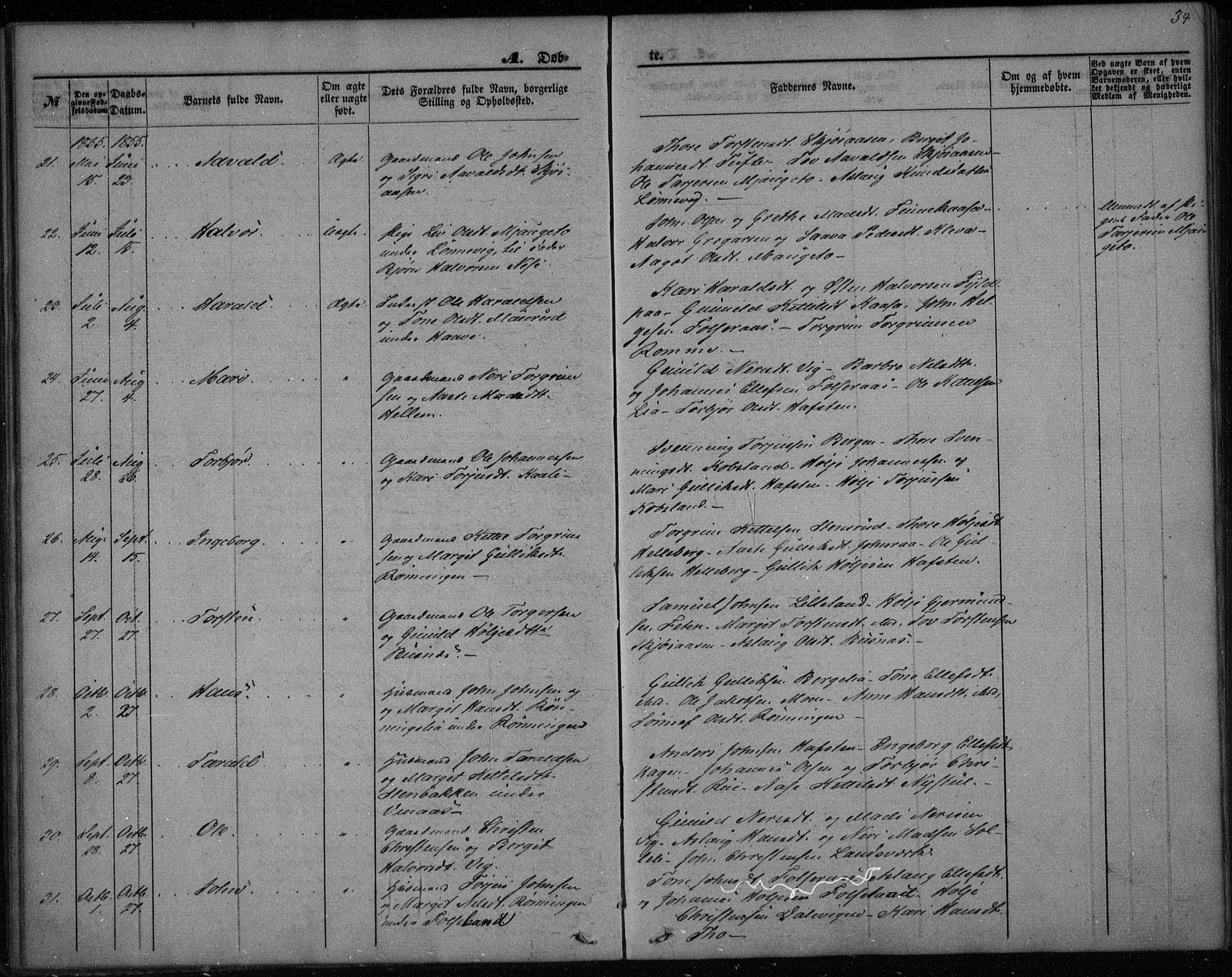 Gransherad kirkebøker, SAKO/A-267/F/Fa/L0002: Parish register (official) no. I 2, 1844-1859, p. 34