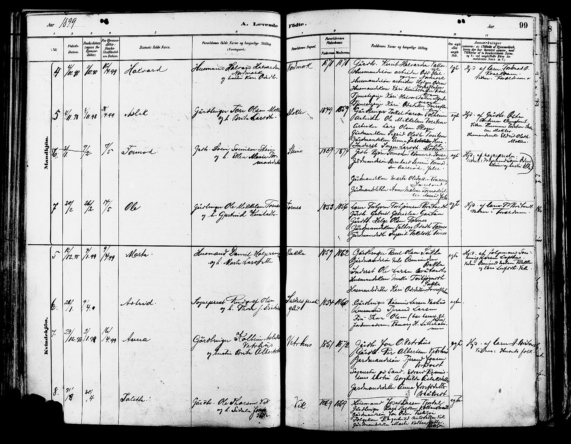 Suldal sokneprestkontor, AV/SAST-A-101845/01/IV/L0011: Parish register (official) no. A 11, 1878-1900, p. 99