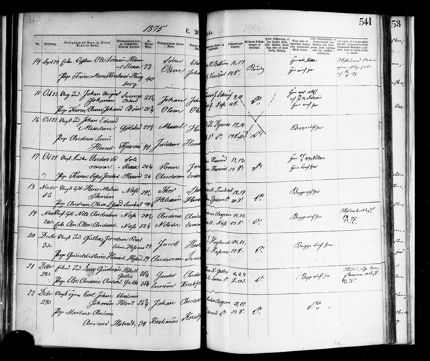 Andebu kirkebøker, AV/SAKO-A-336/F/Fa/L0006: Parish register (official) no. 6, 1871-1878, p. 541