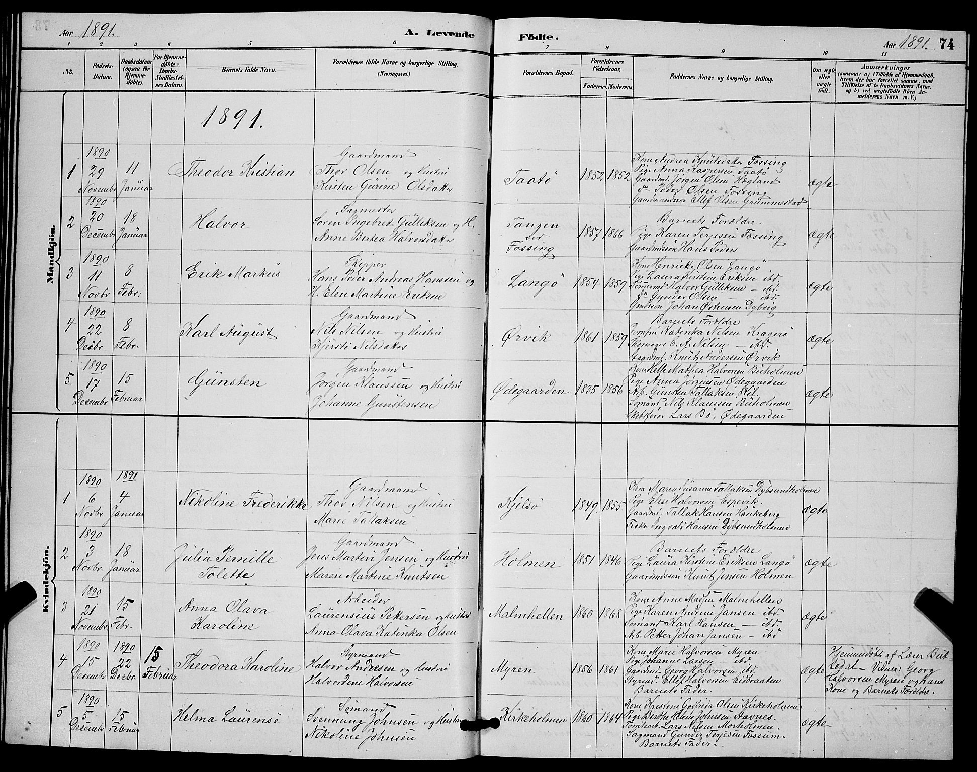 Skåtøy kirkebøker, SAKO/A-304/G/Ga/L0003: Parish register (copy) no. I 3, 1884-1898, p. 74