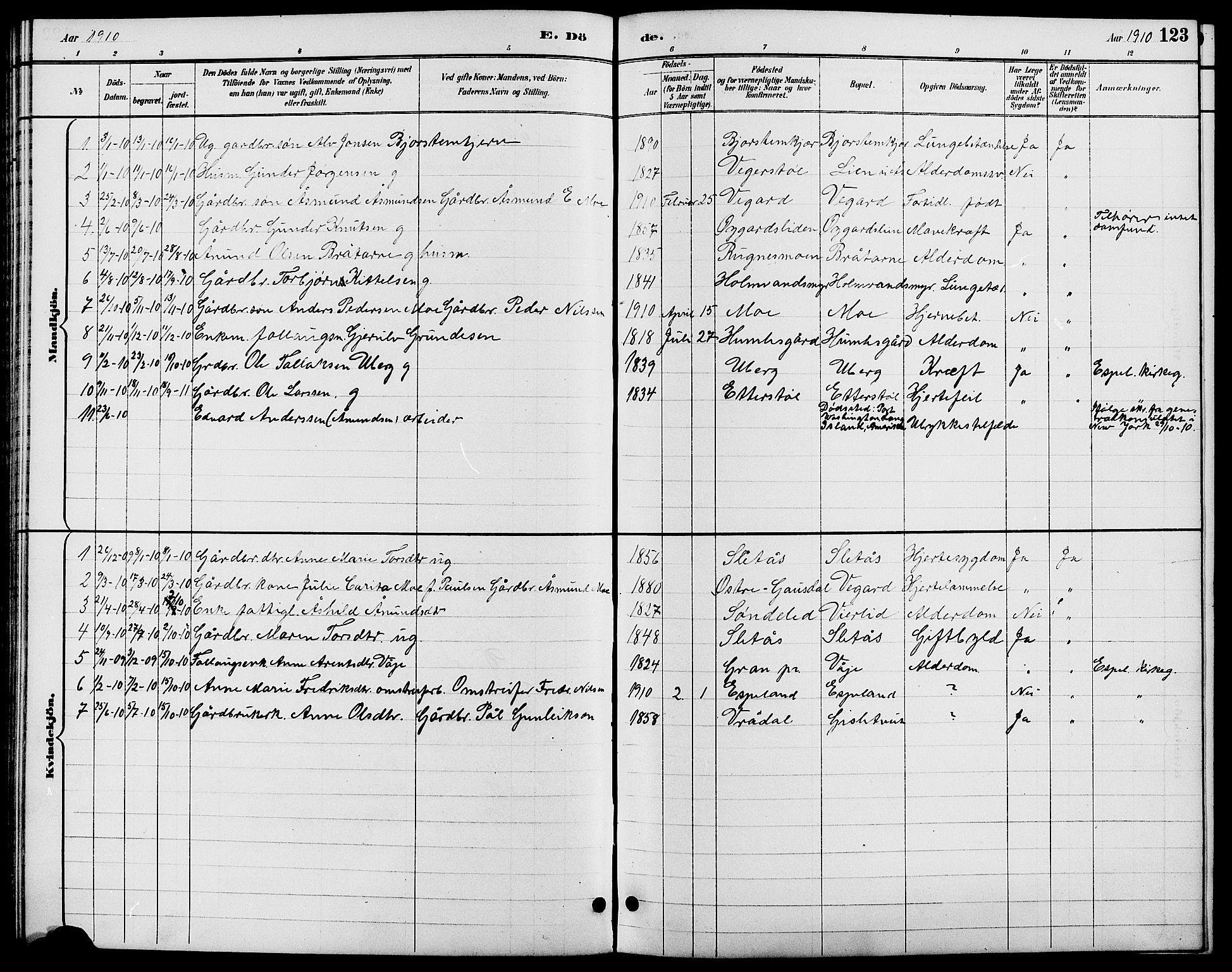 Gjerstad sokneprestkontor, AV/SAK-1111-0014/F/Fb/Fbb/L0004: Parish register (copy) no. B 4, 1890-1910, p. 123