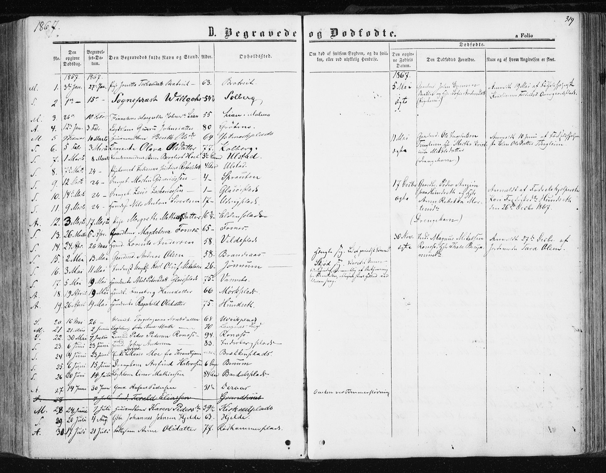 Ministerialprotokoller, klokkerbøker og fødselsregistre - Nord-Trøndelag, SAT/A-1458/741/L0394: Parish register (official) no. 741A08, 1864-1877, p. 319