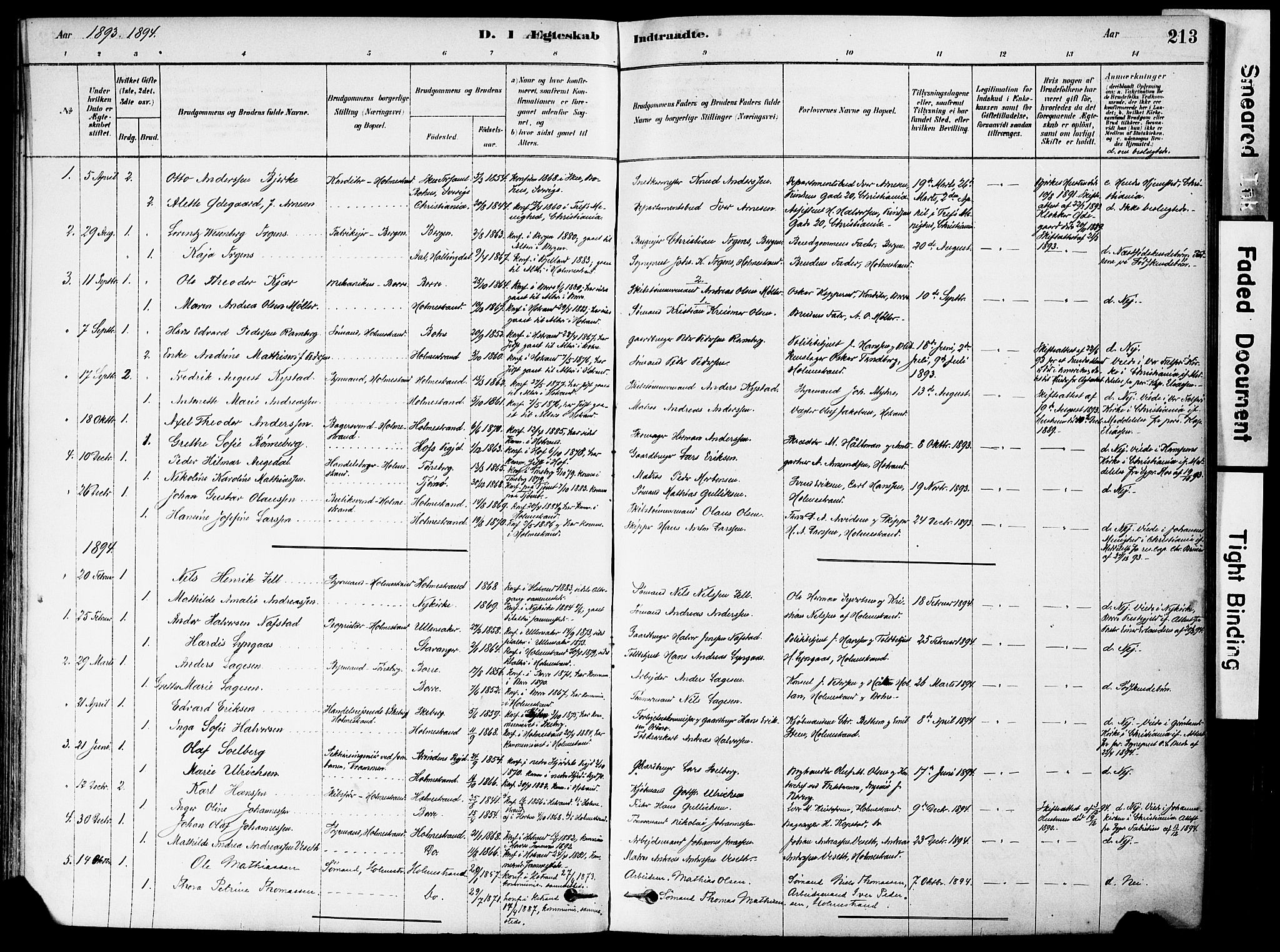 Holmestrand kirkebøker, AV/SAKO-A-346/F/Fa/L0004: Parish register (official) no. 4, 1880-1901, p. 213