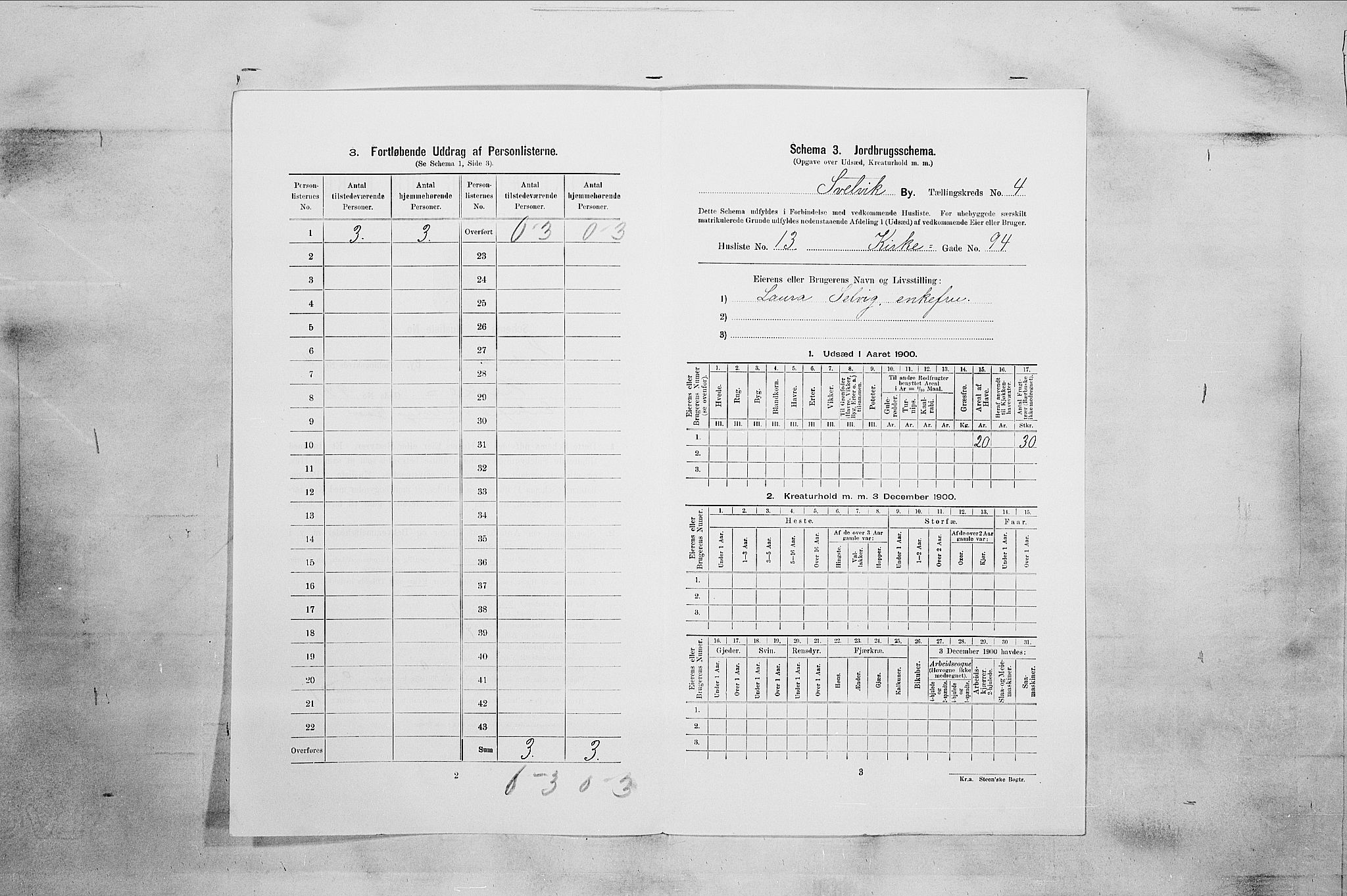 RA, 1900 census for Svelvik, 1900, p. 569